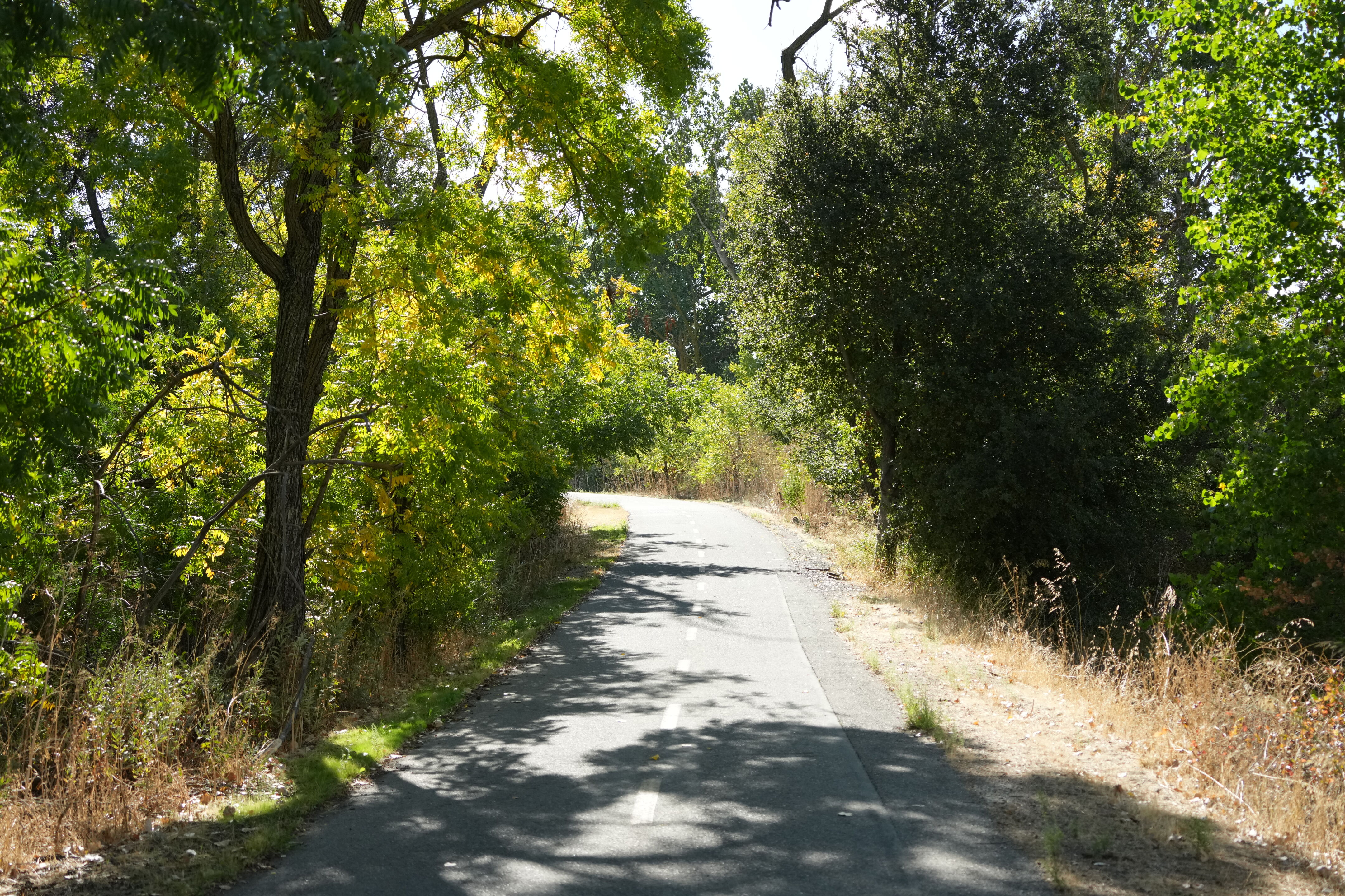 Coyote Creek Parkway