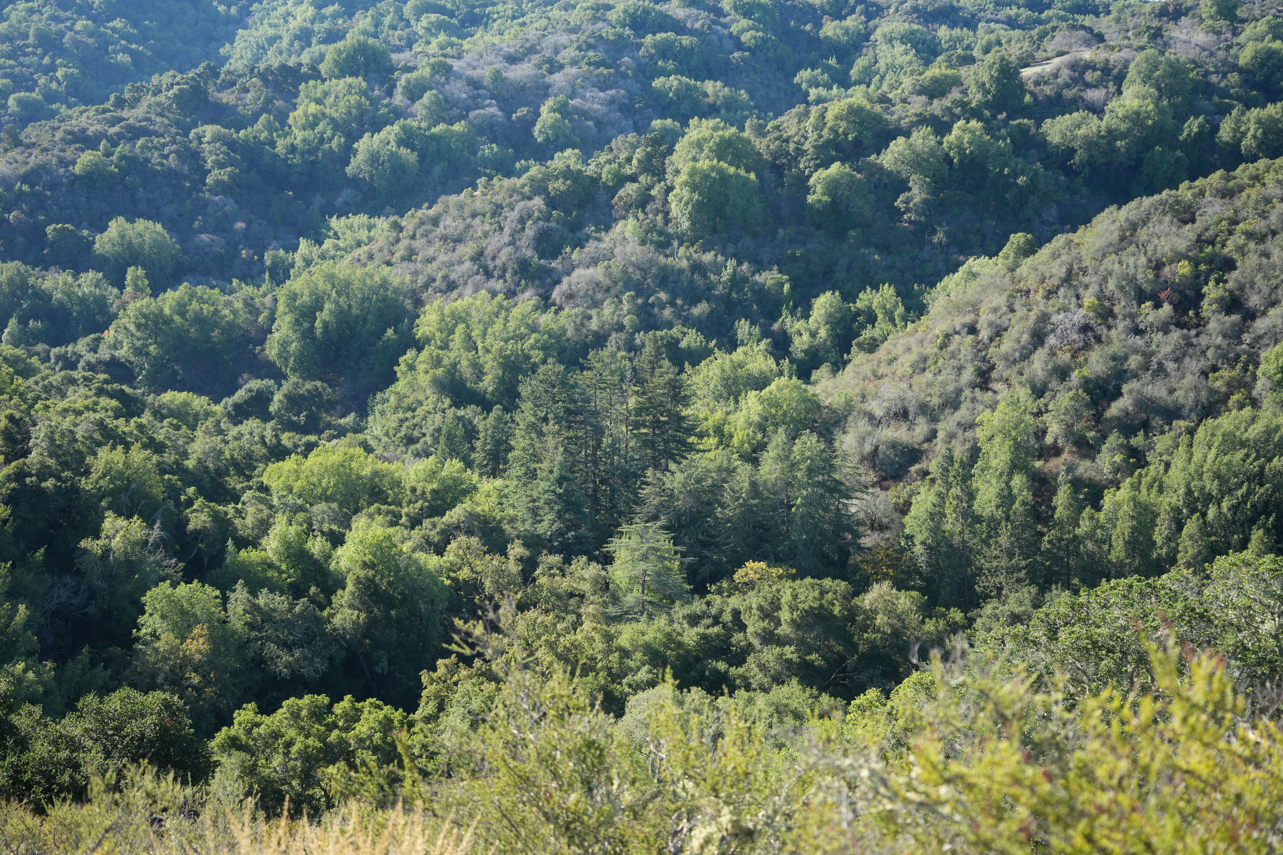 Foothills Nature Preserve
