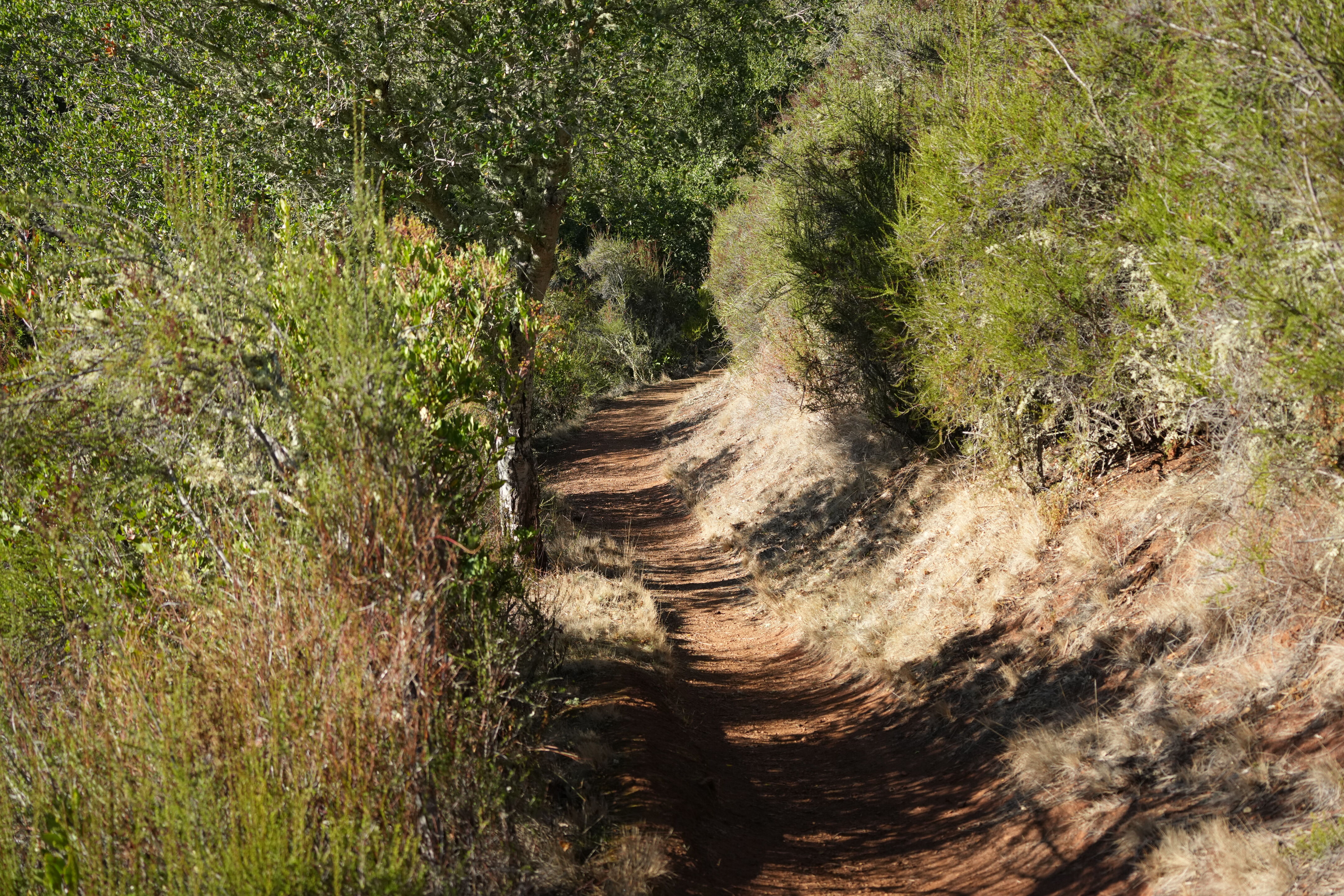 Foothills Nature Preserve