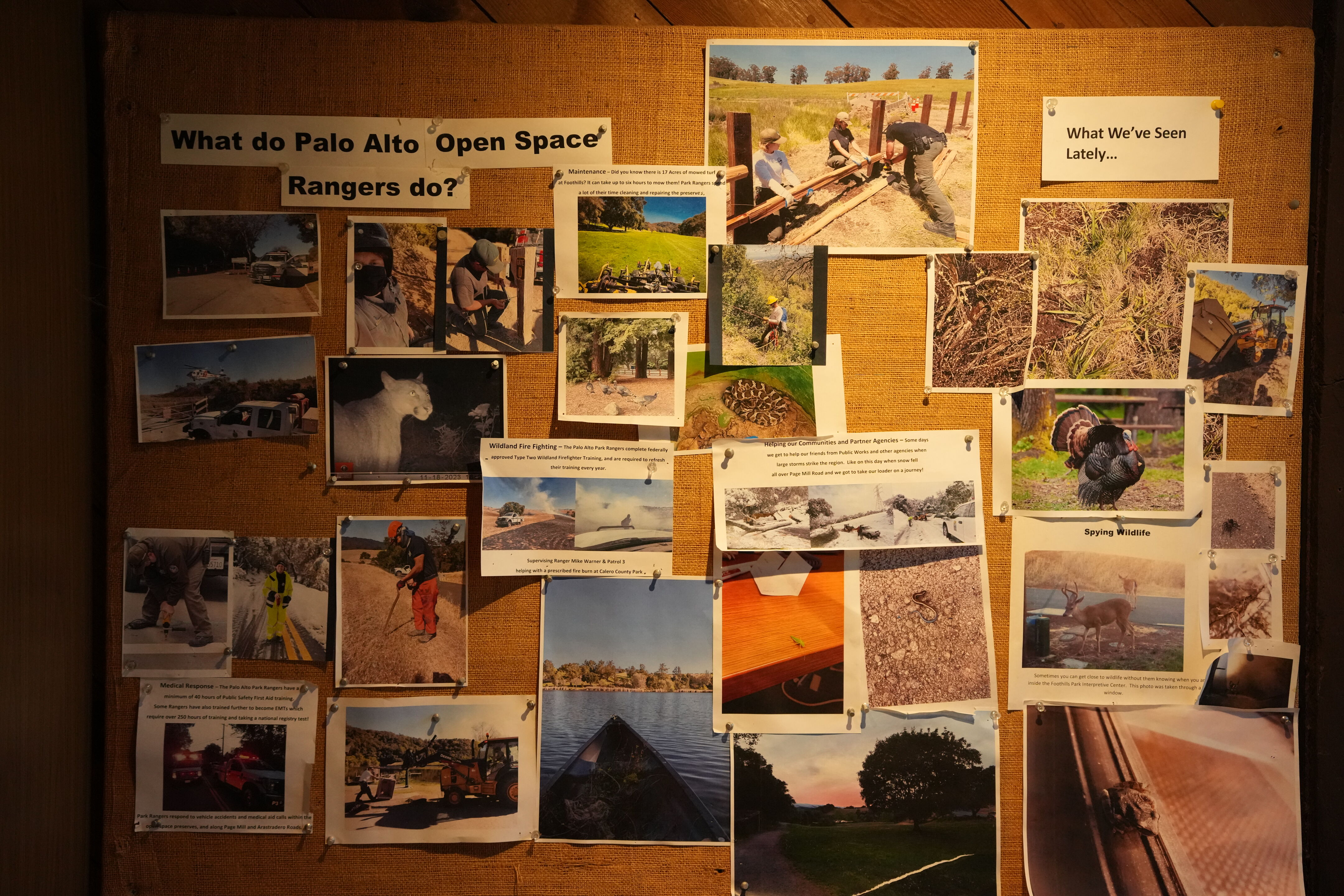 Foothills Nature Preserve Interpretive Center