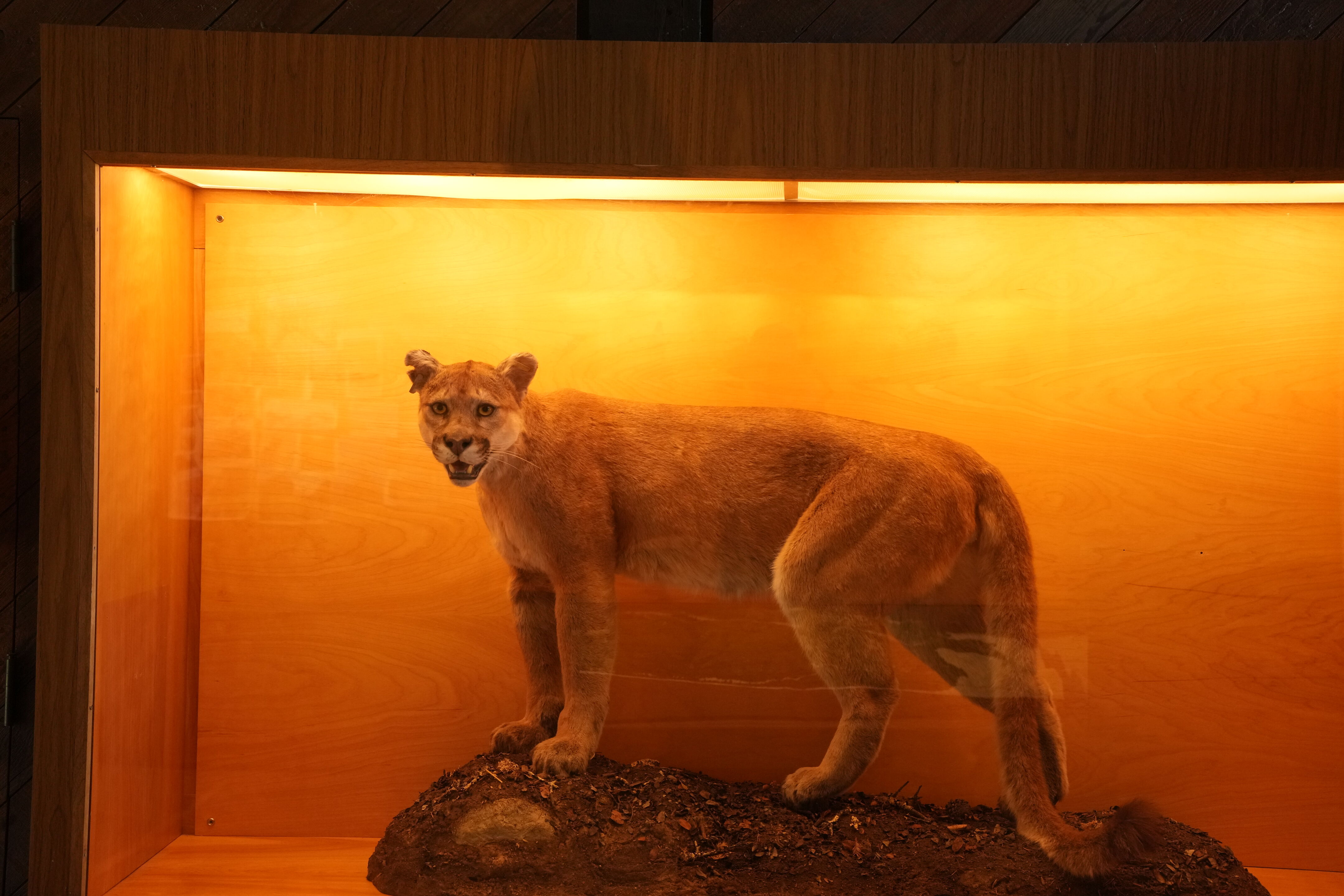 Foothills Nature Preserve Interpretive Center