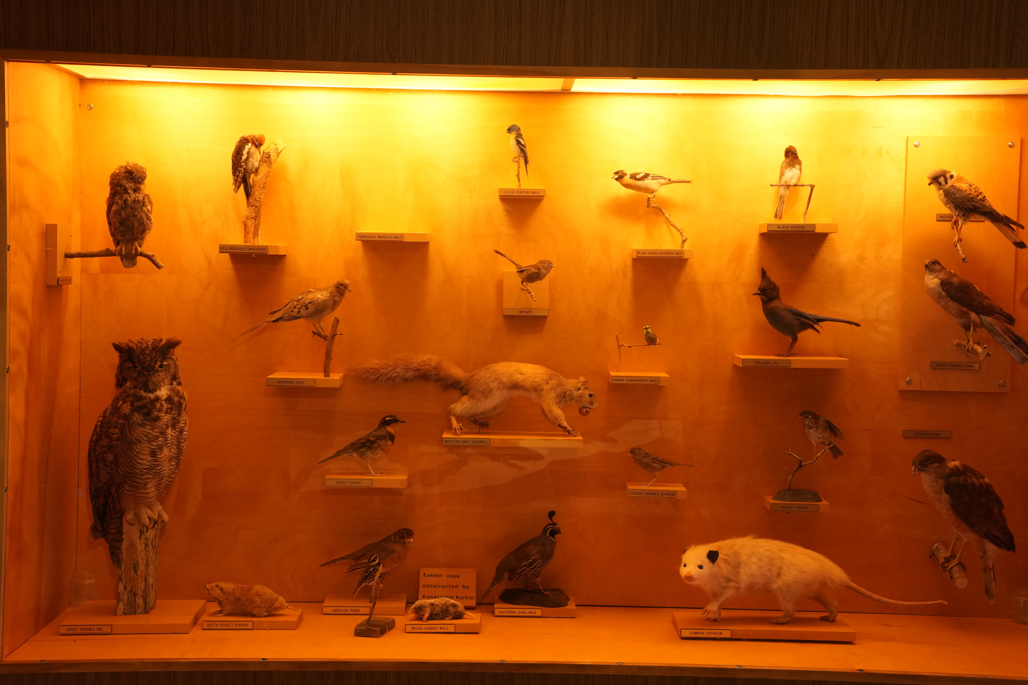 Foothills Nature Preserve Interpretive Center