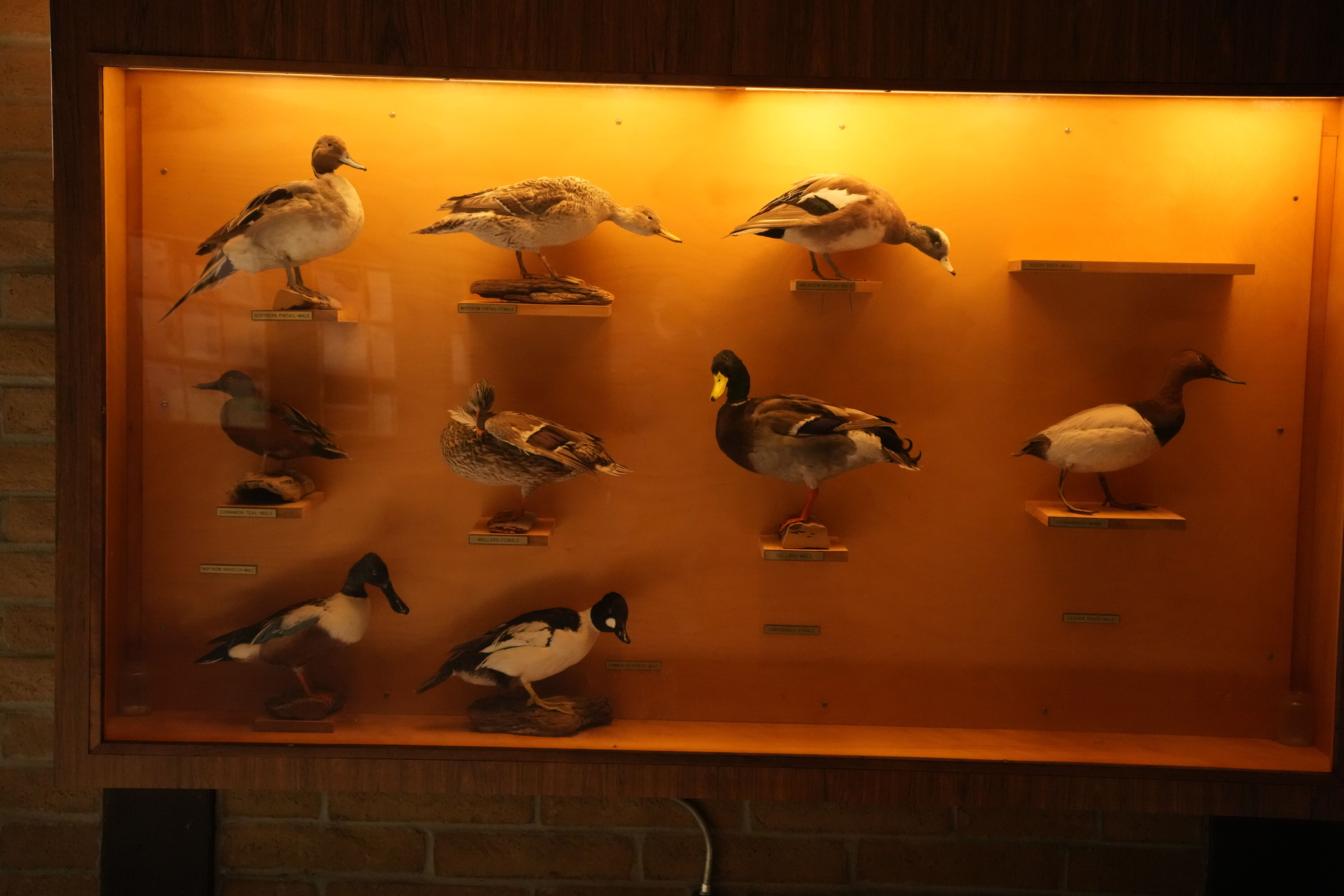 Foothills Nature Preserve Interpretive Center