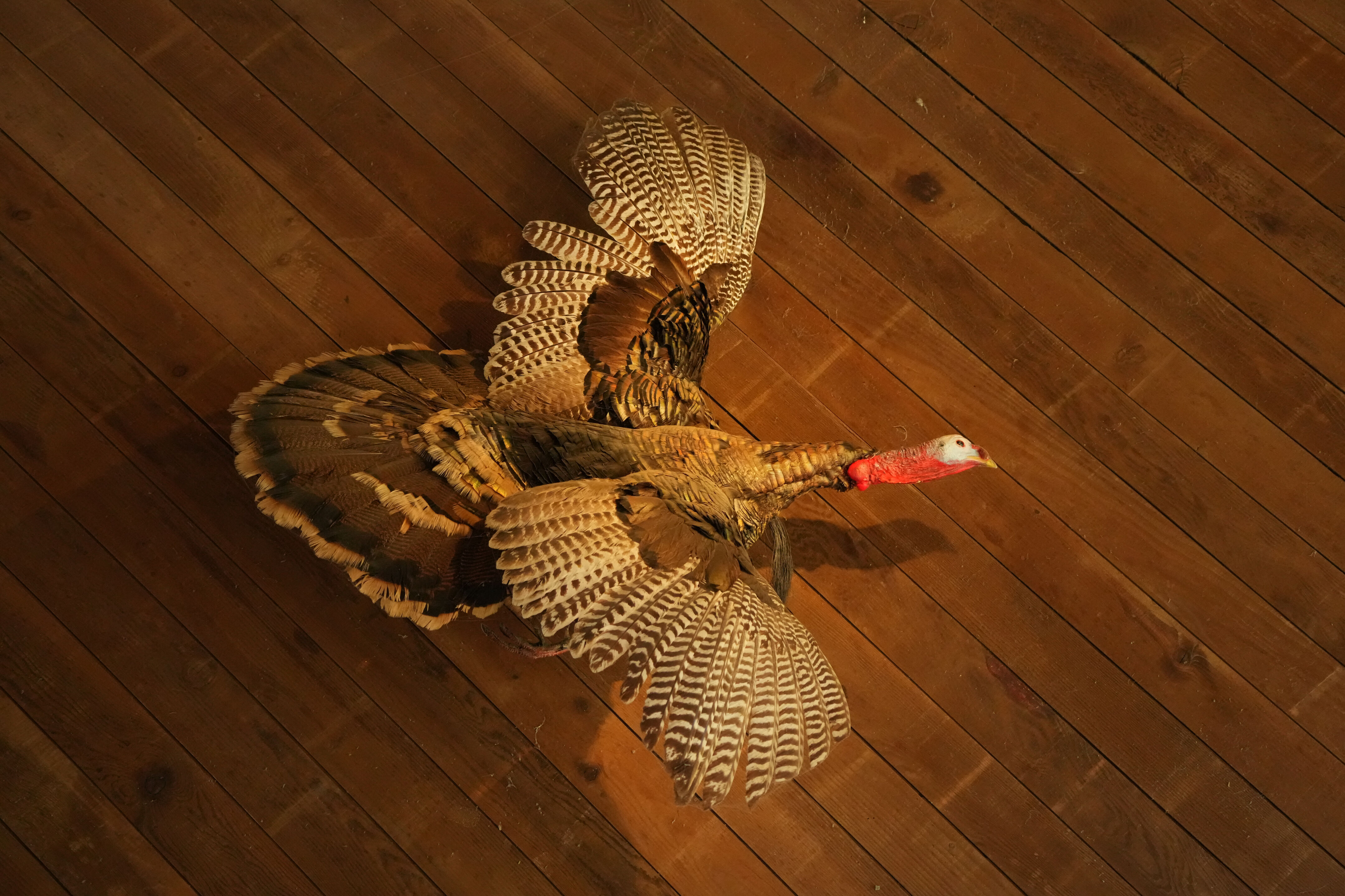 Foothills Nature Preserve Interpretive Center