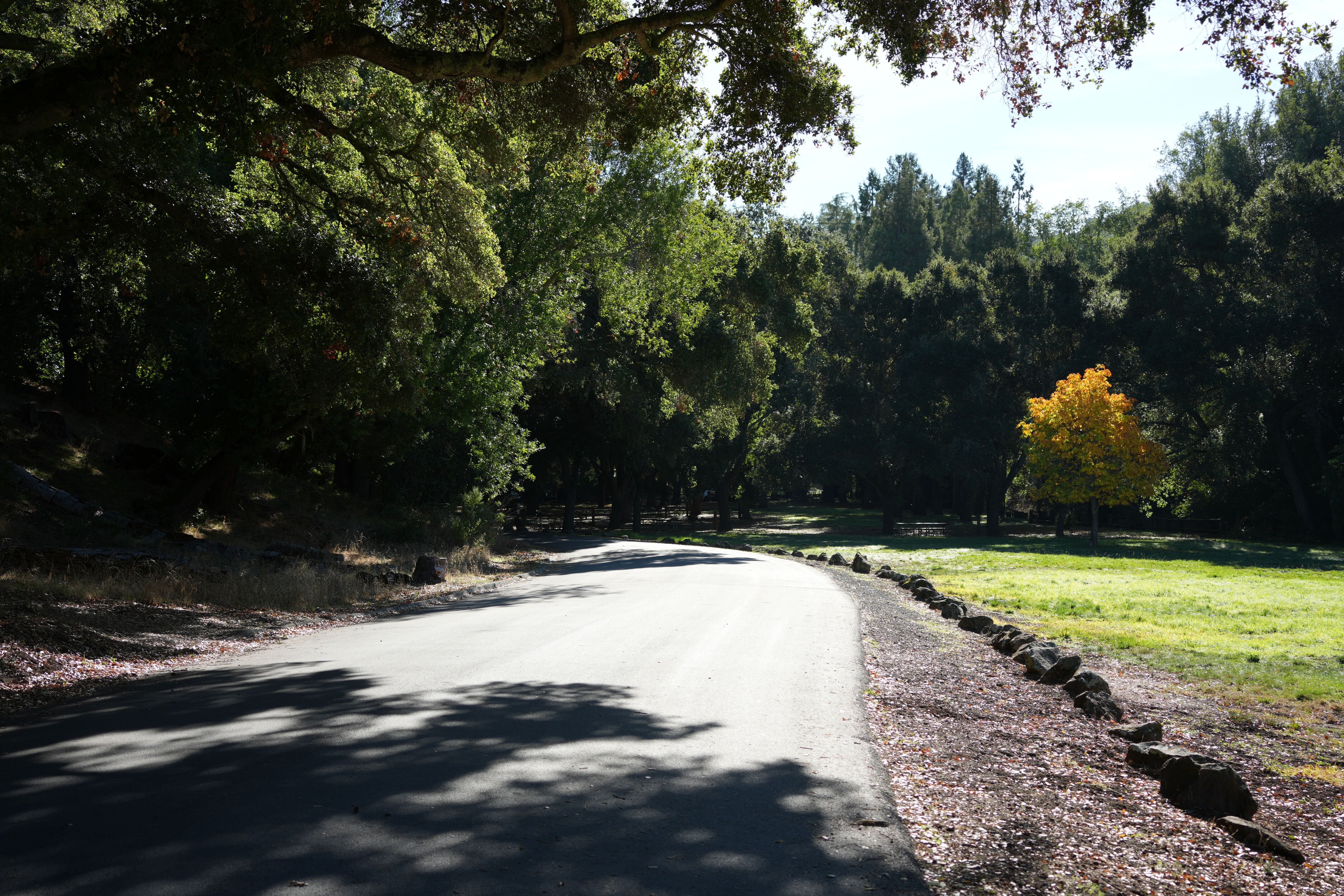 Foothills Nature Preserve