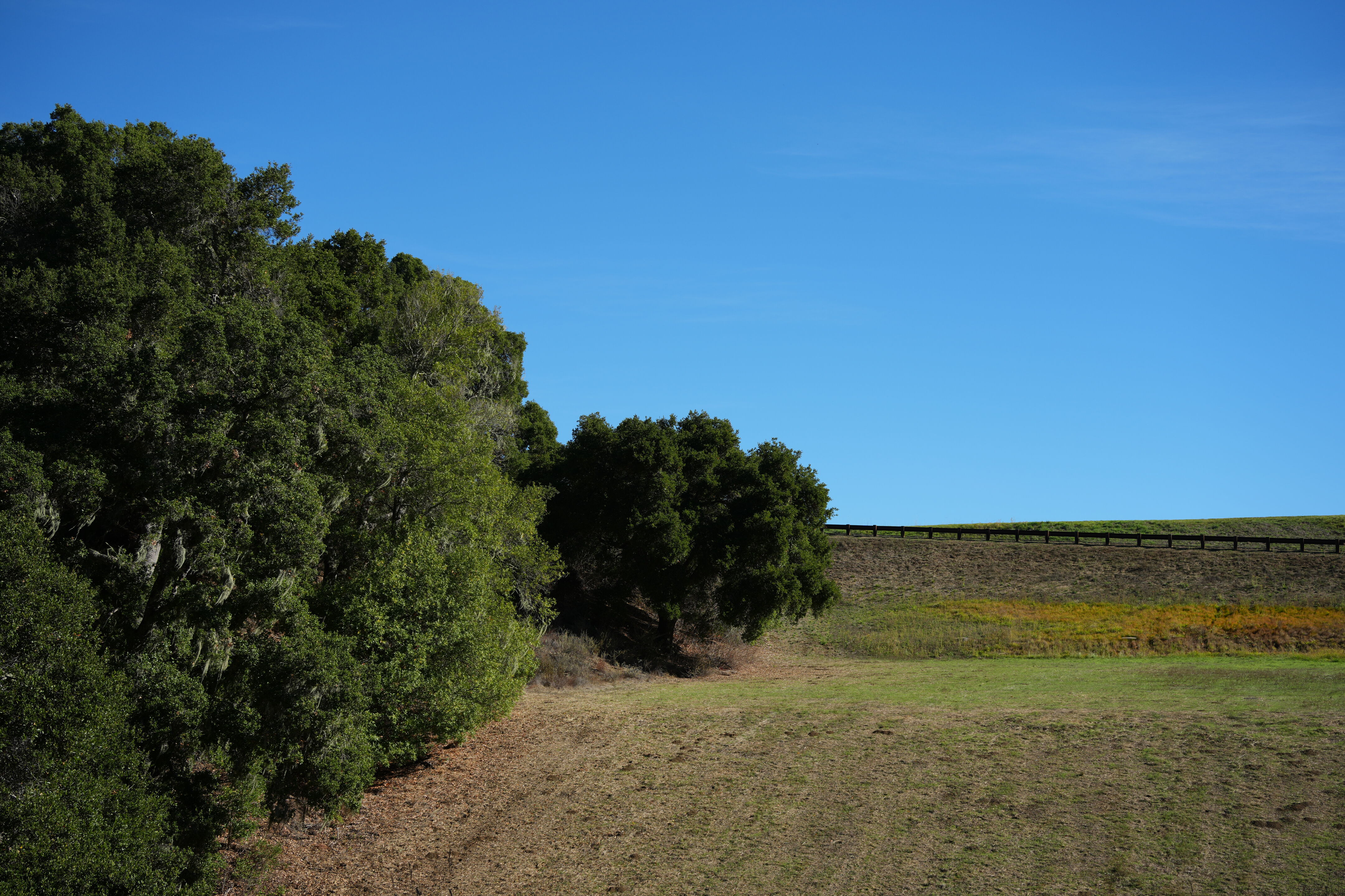 Foothills Nature Preserve