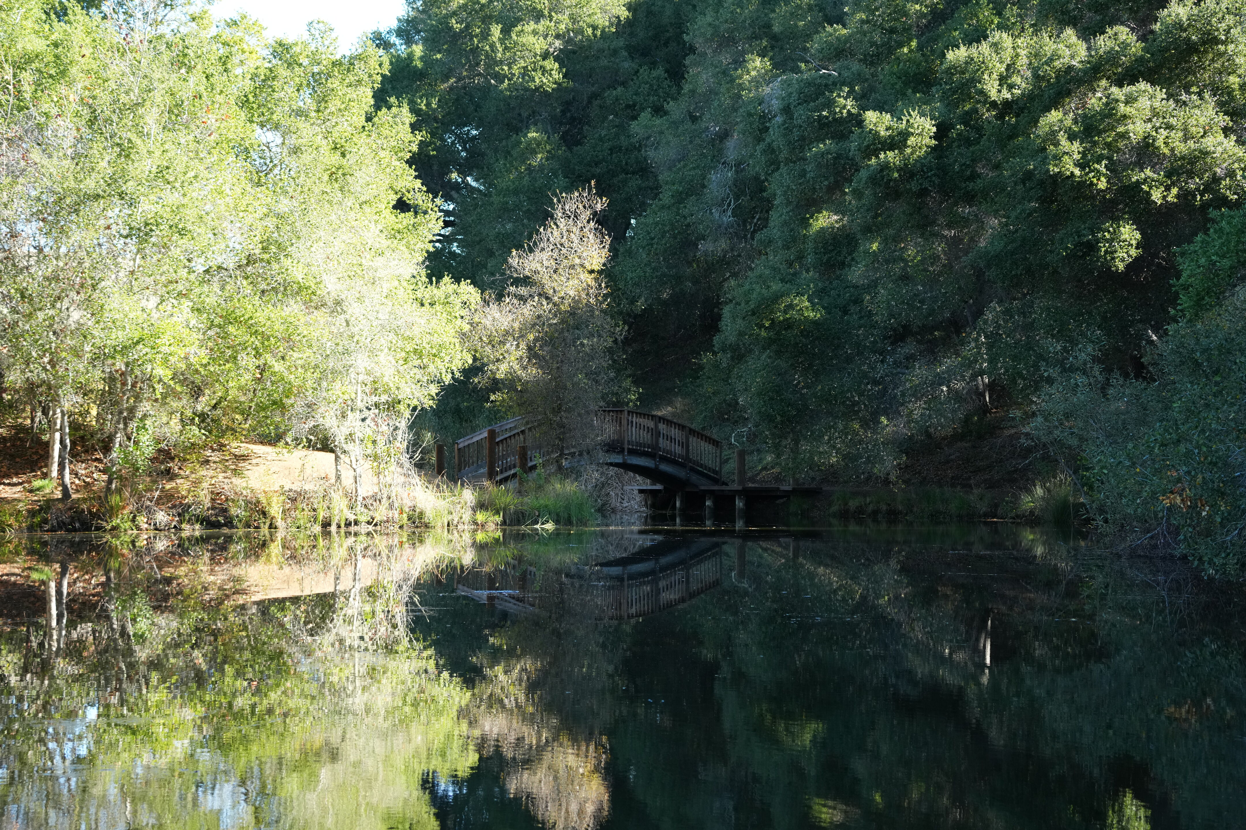 Foothills Nature Preserve