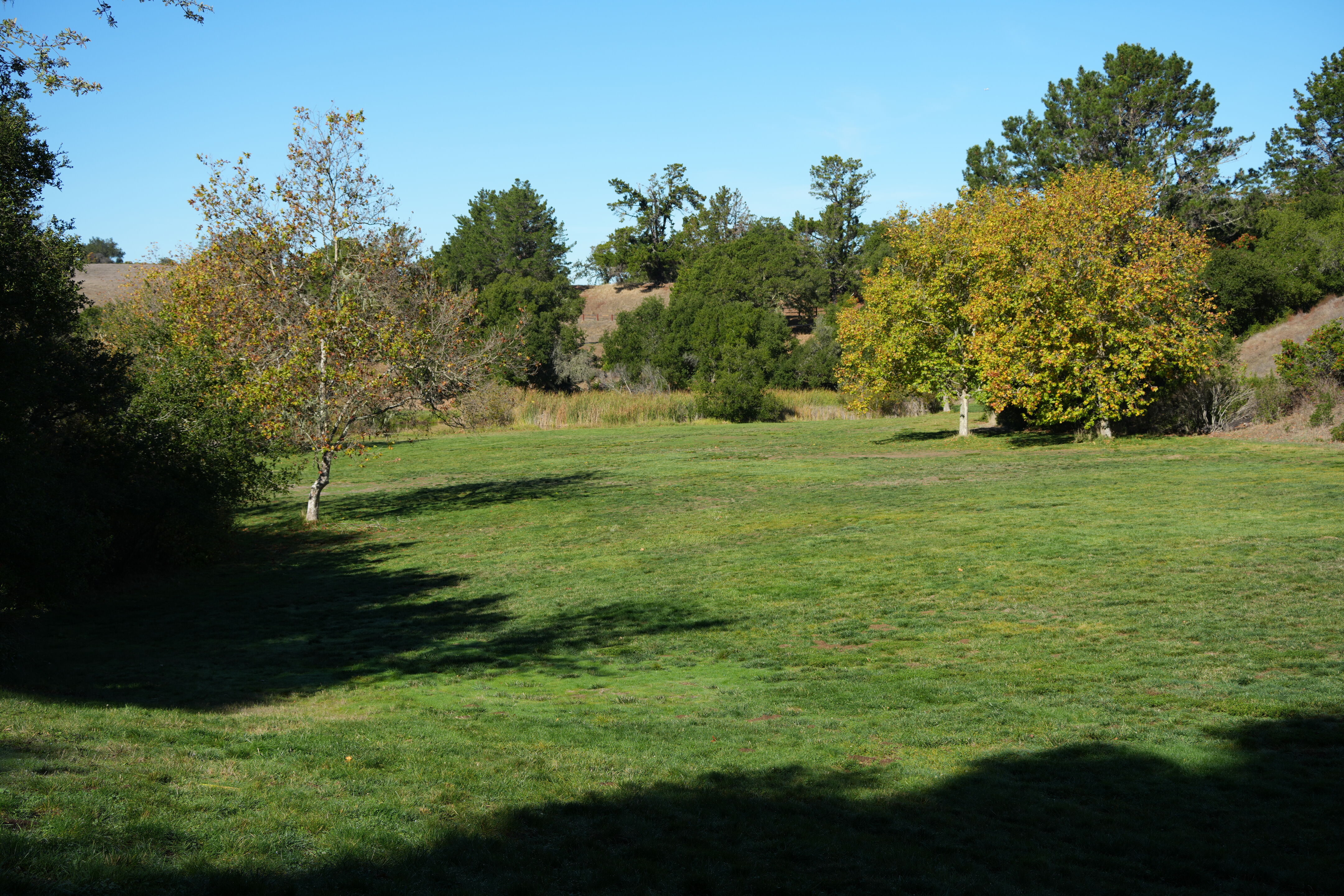 Foothills Nature Preserve
