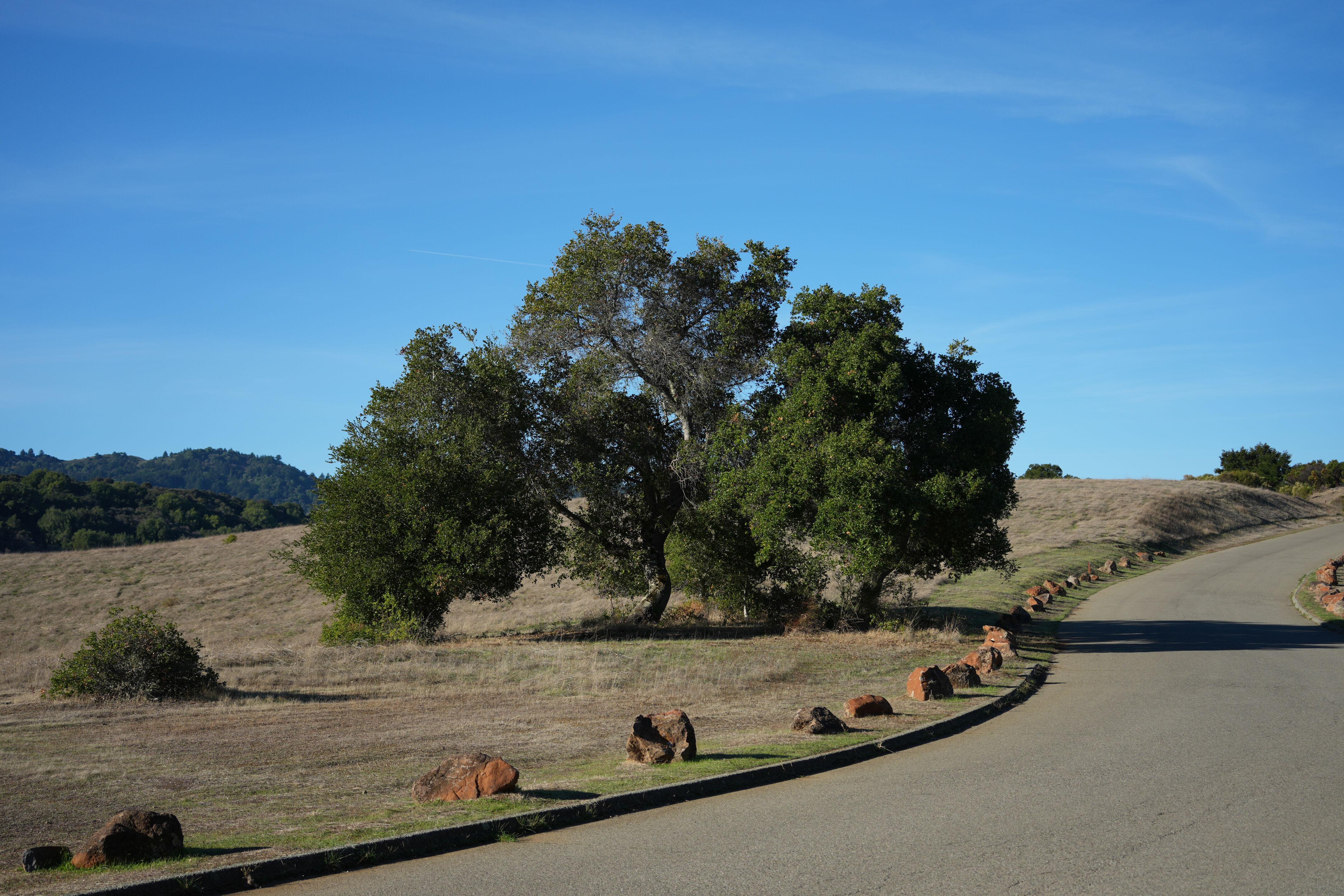 Foothills Nature Preserve