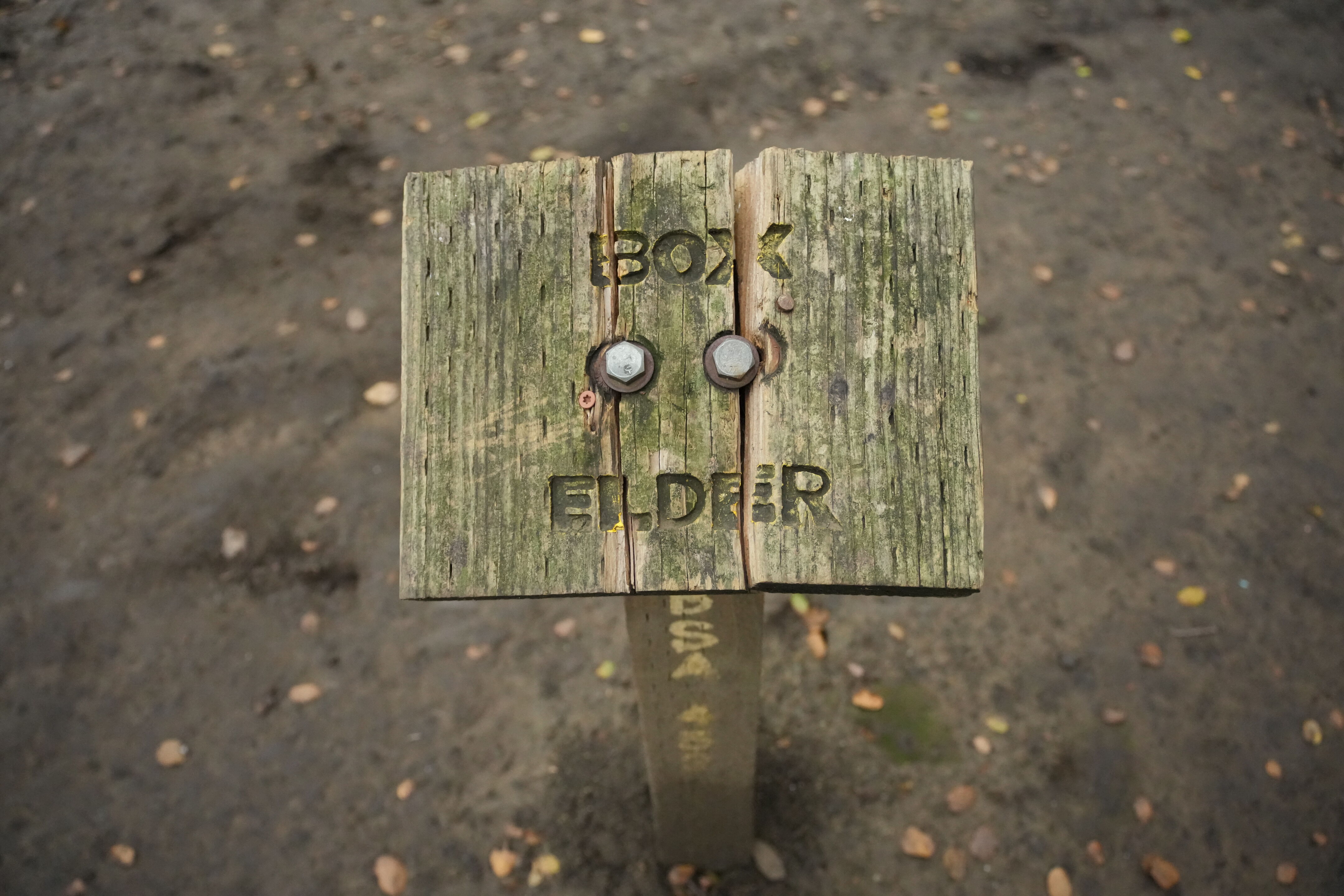 McClellan Ranch Preserve