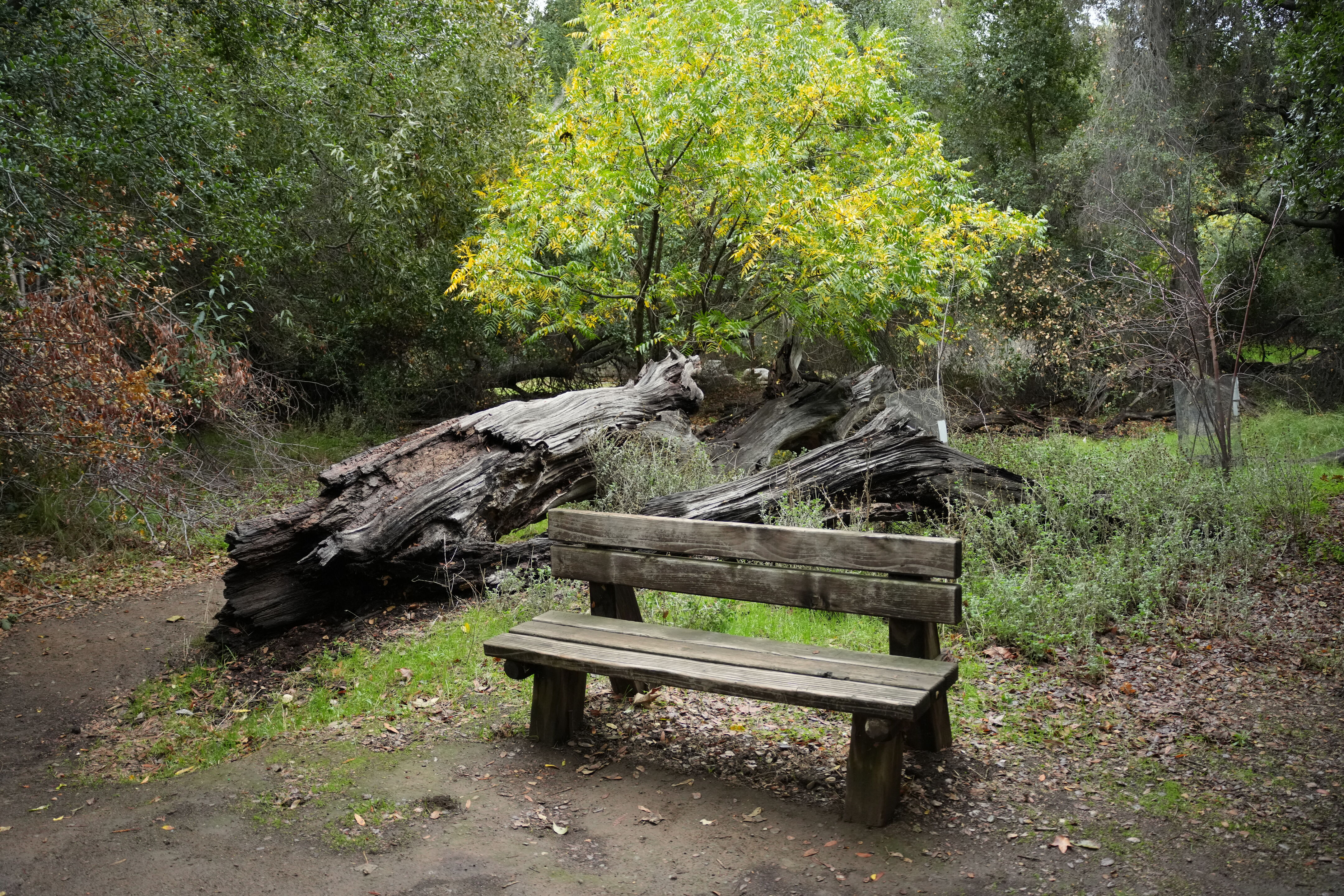 McClellan Ranch Preserve