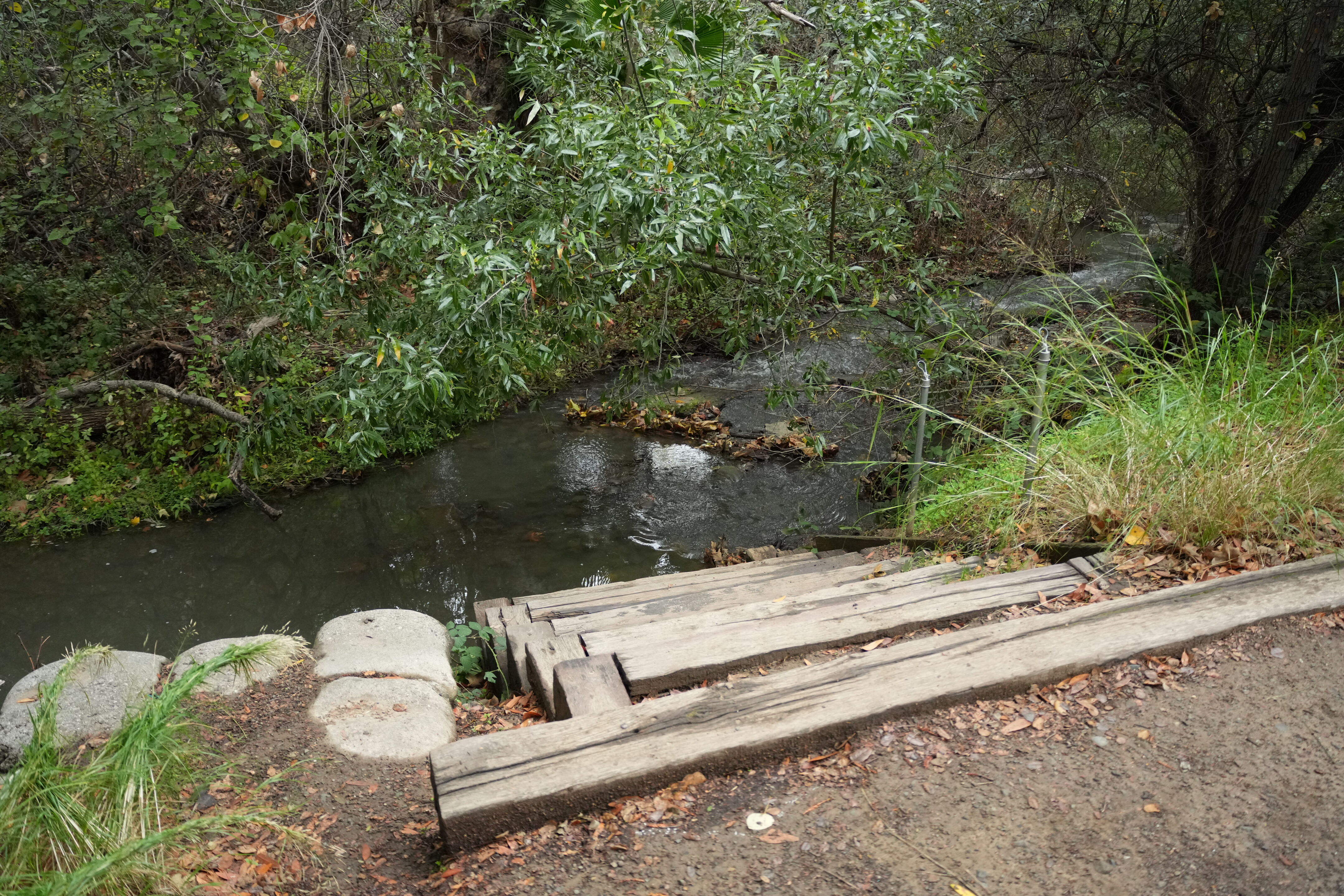McClellan Ranch Preserve