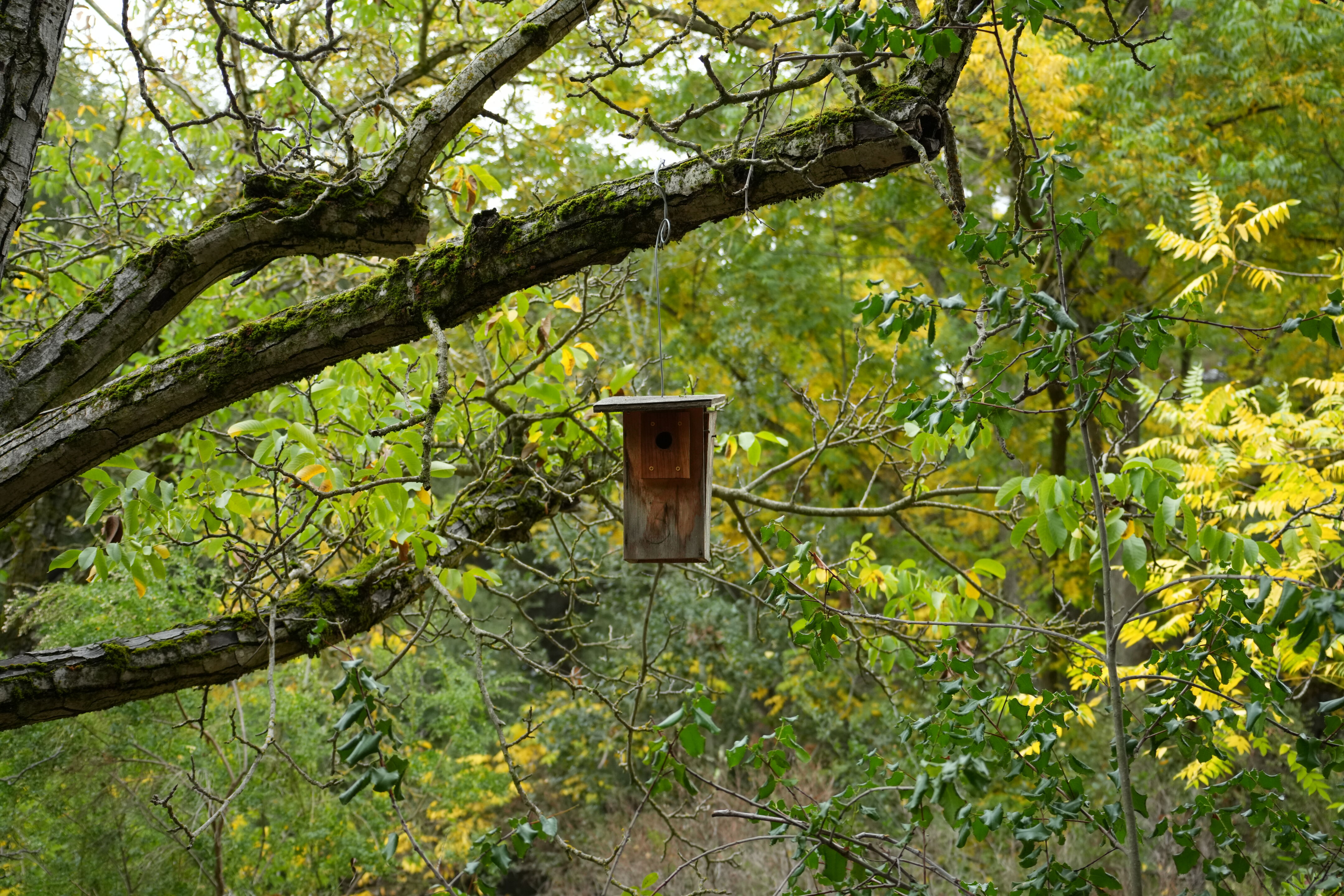 McClellan Ranch Preserve