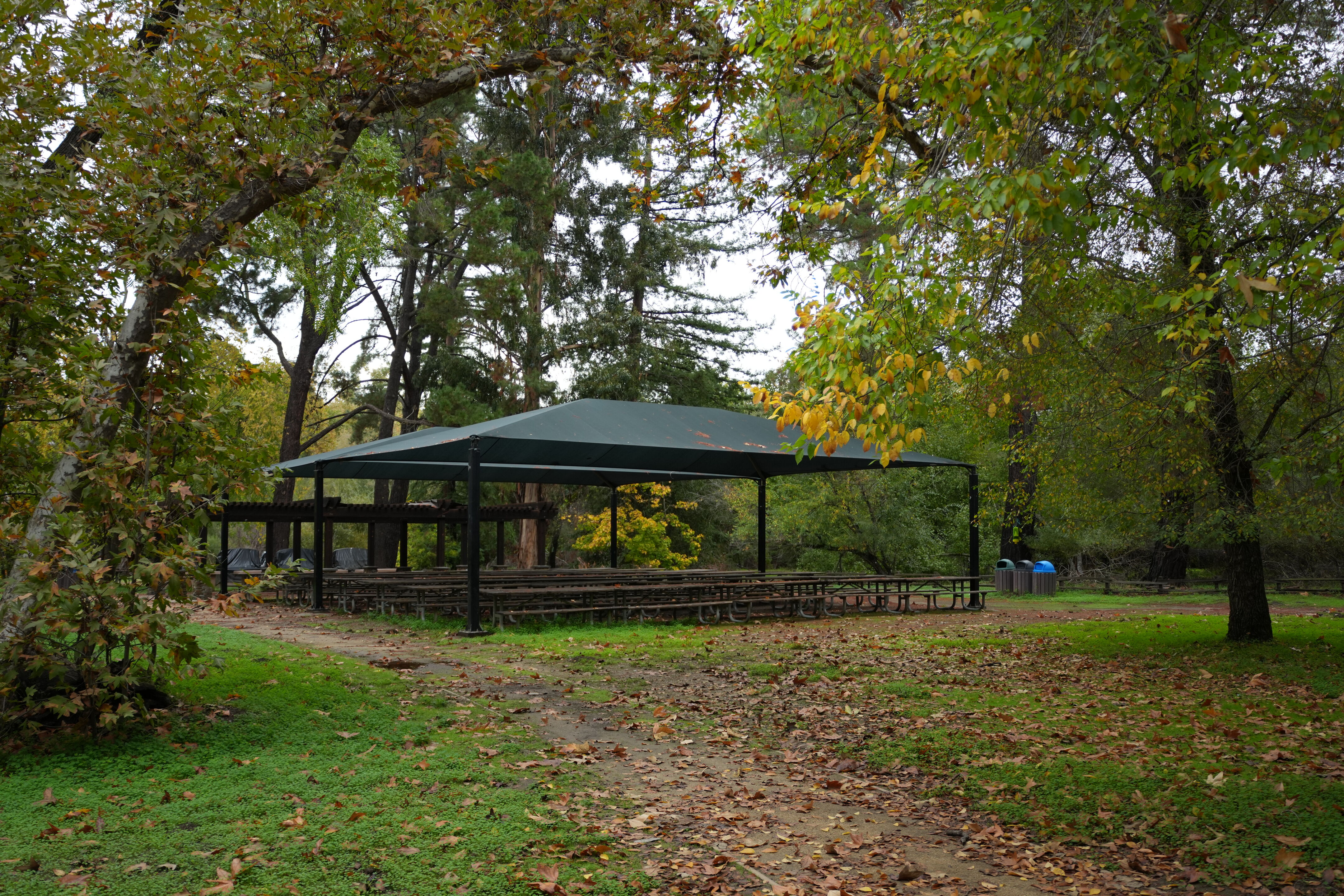 McClellan Ranch Preserve