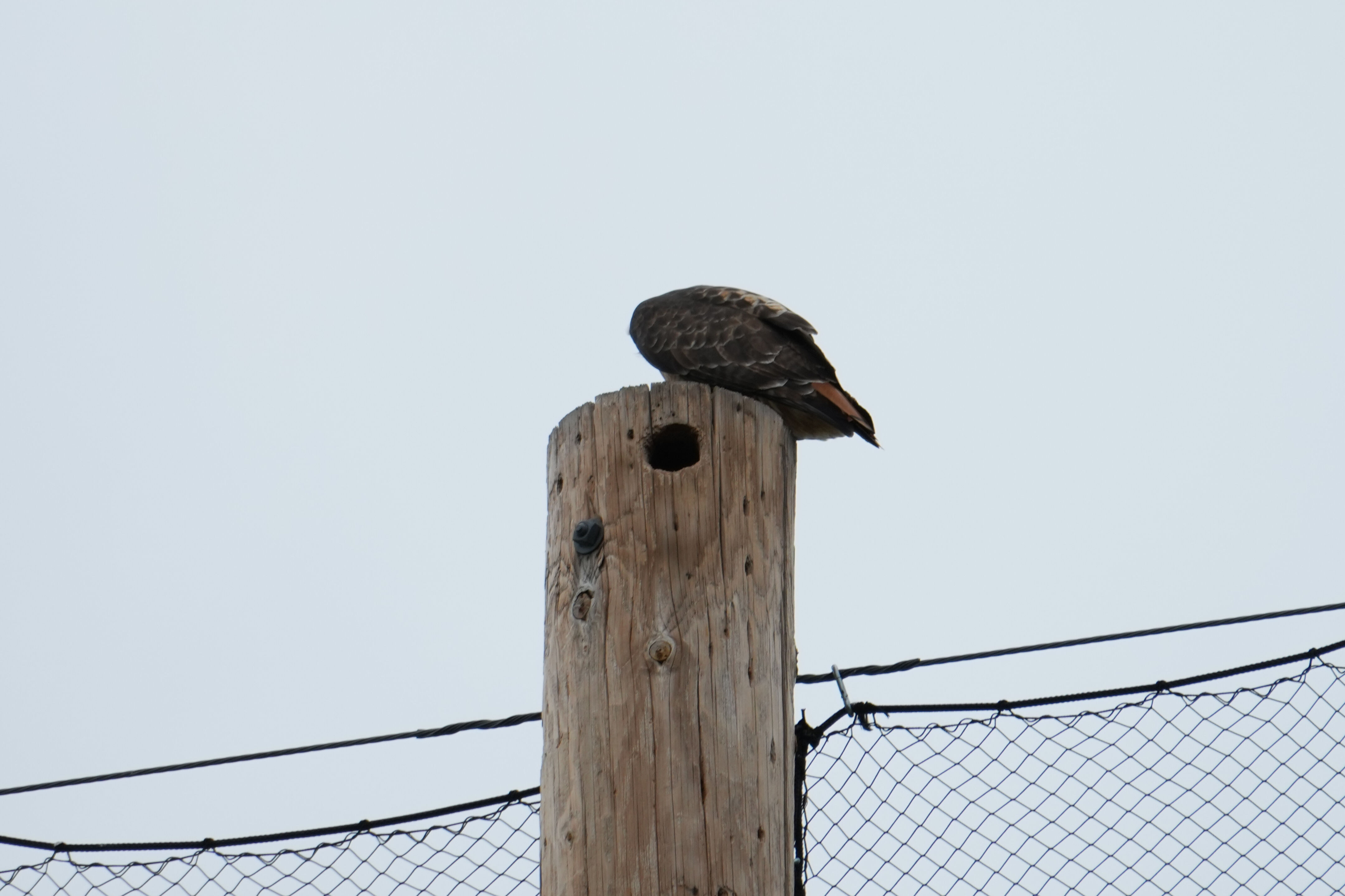 McClellan Ranch Preserve
