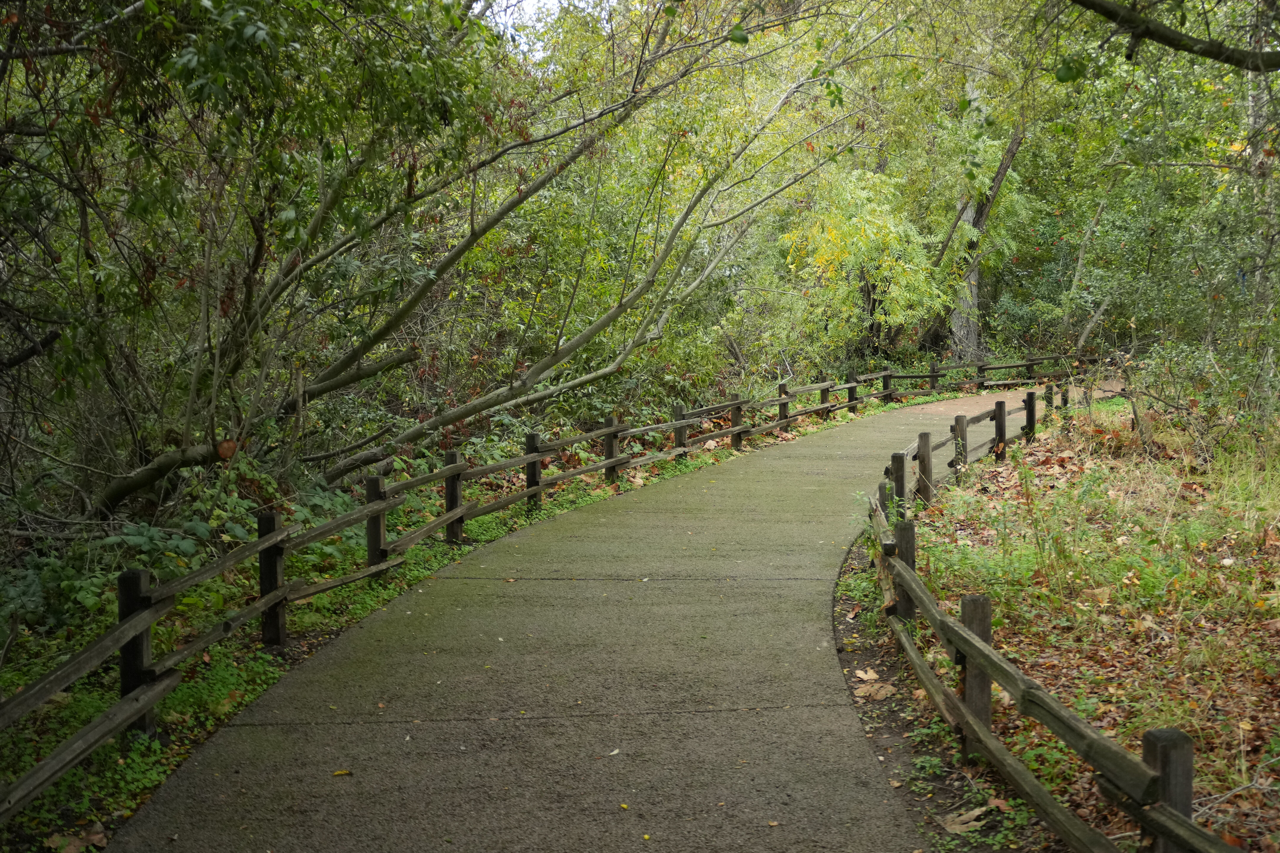 McClellan Ranch Preserve