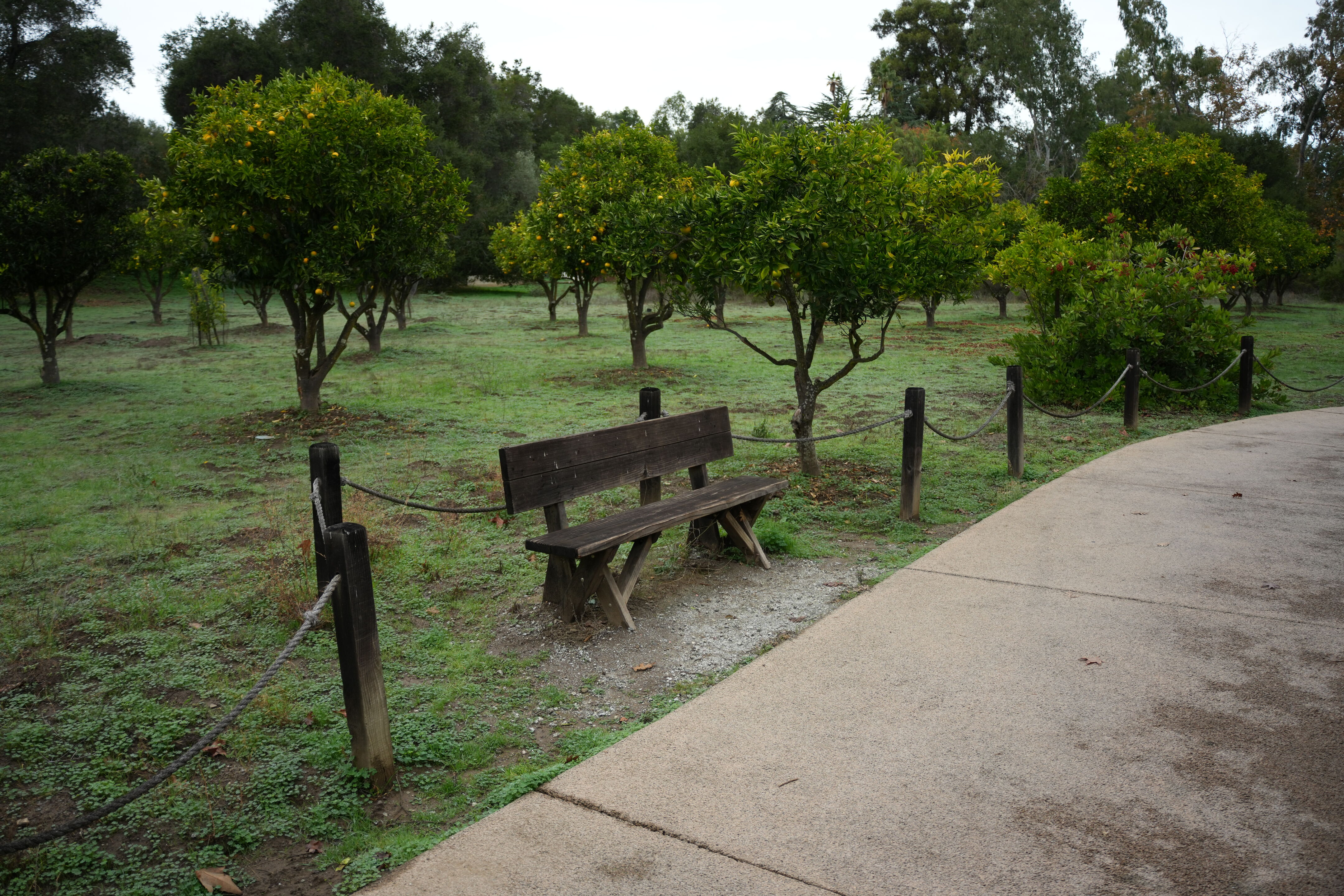 McClellan Ranch Preserve