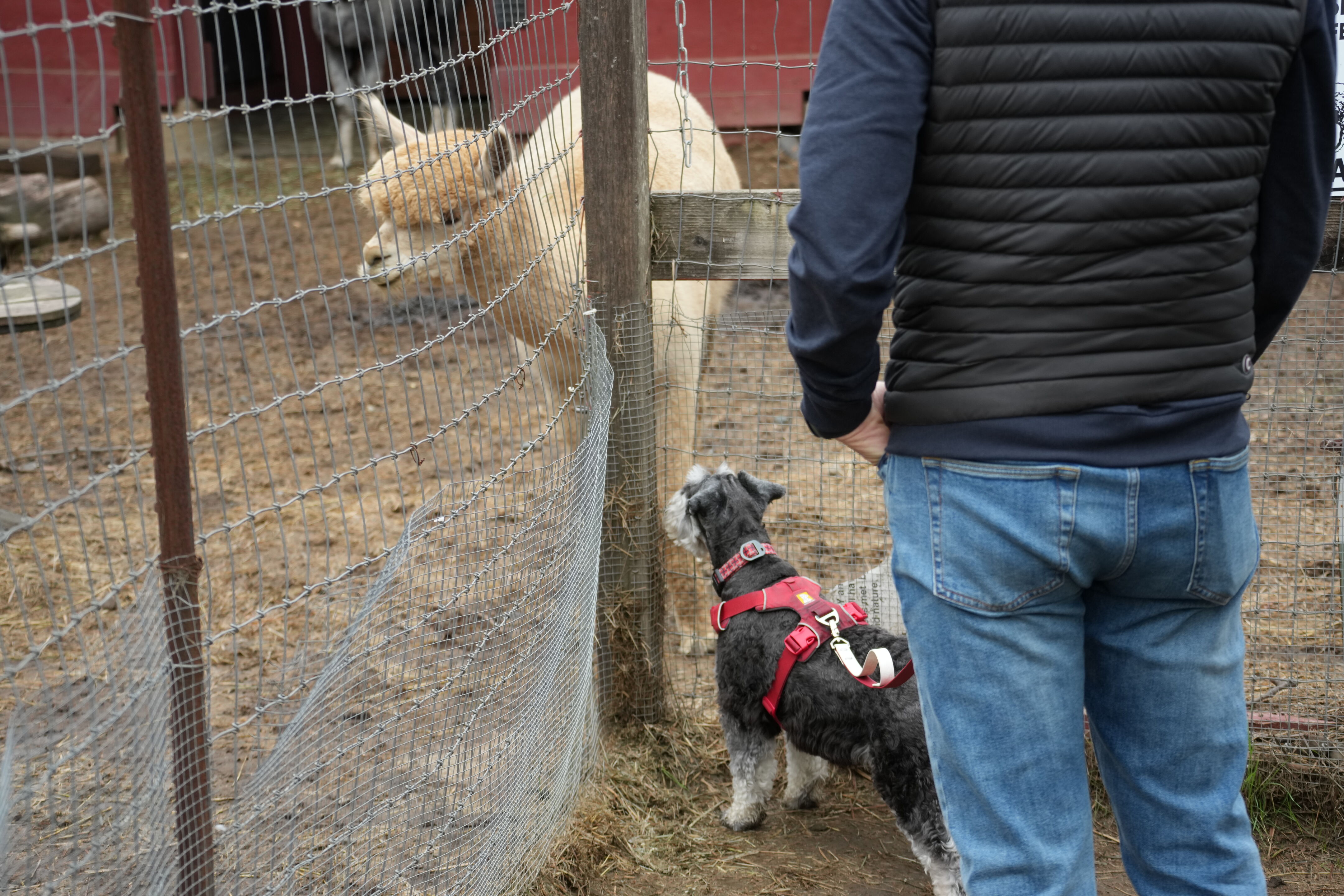 McClellan Ranch Preserve