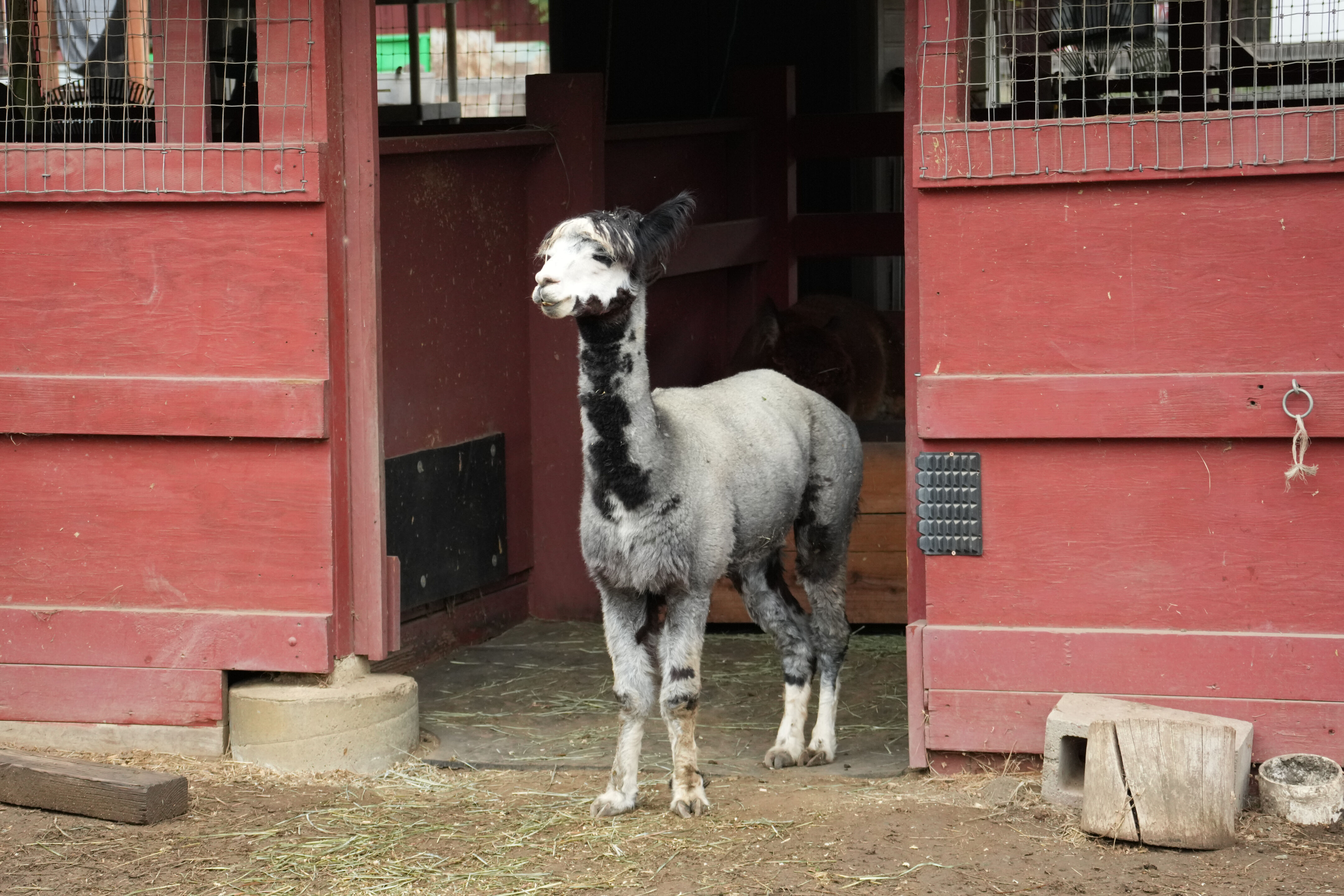 McClellan Ranch Preserve