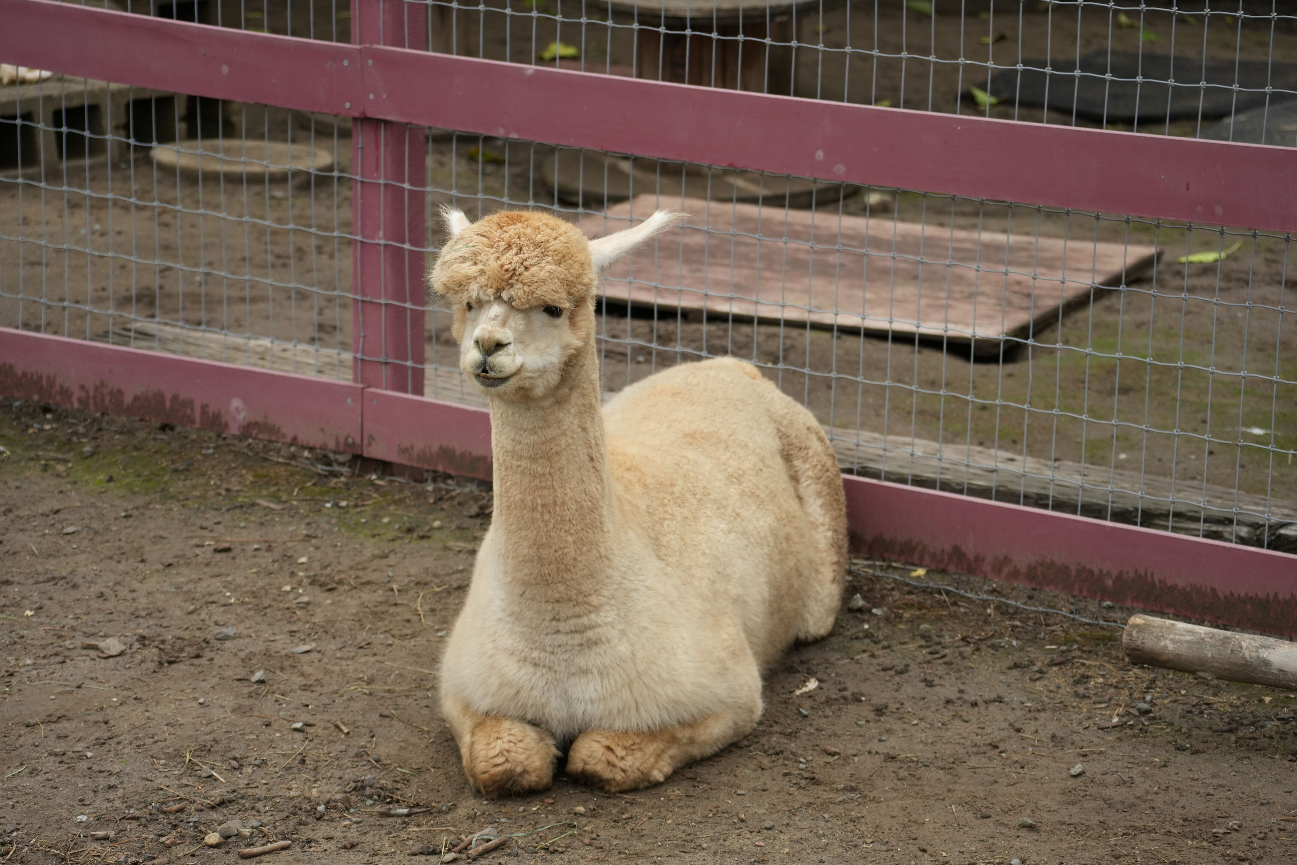 McClellan Ranch Preserve