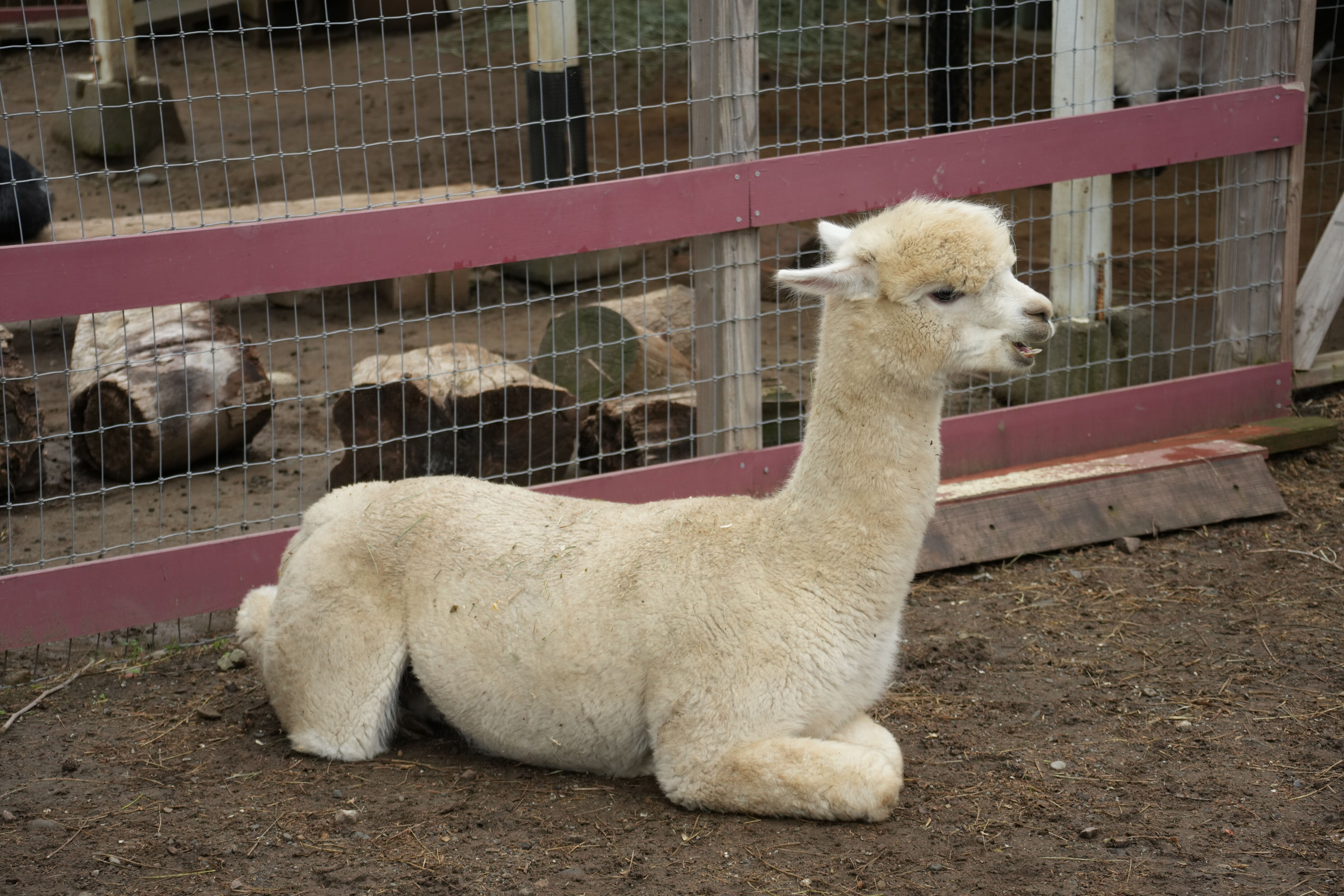 McClellan Ranch Preserve