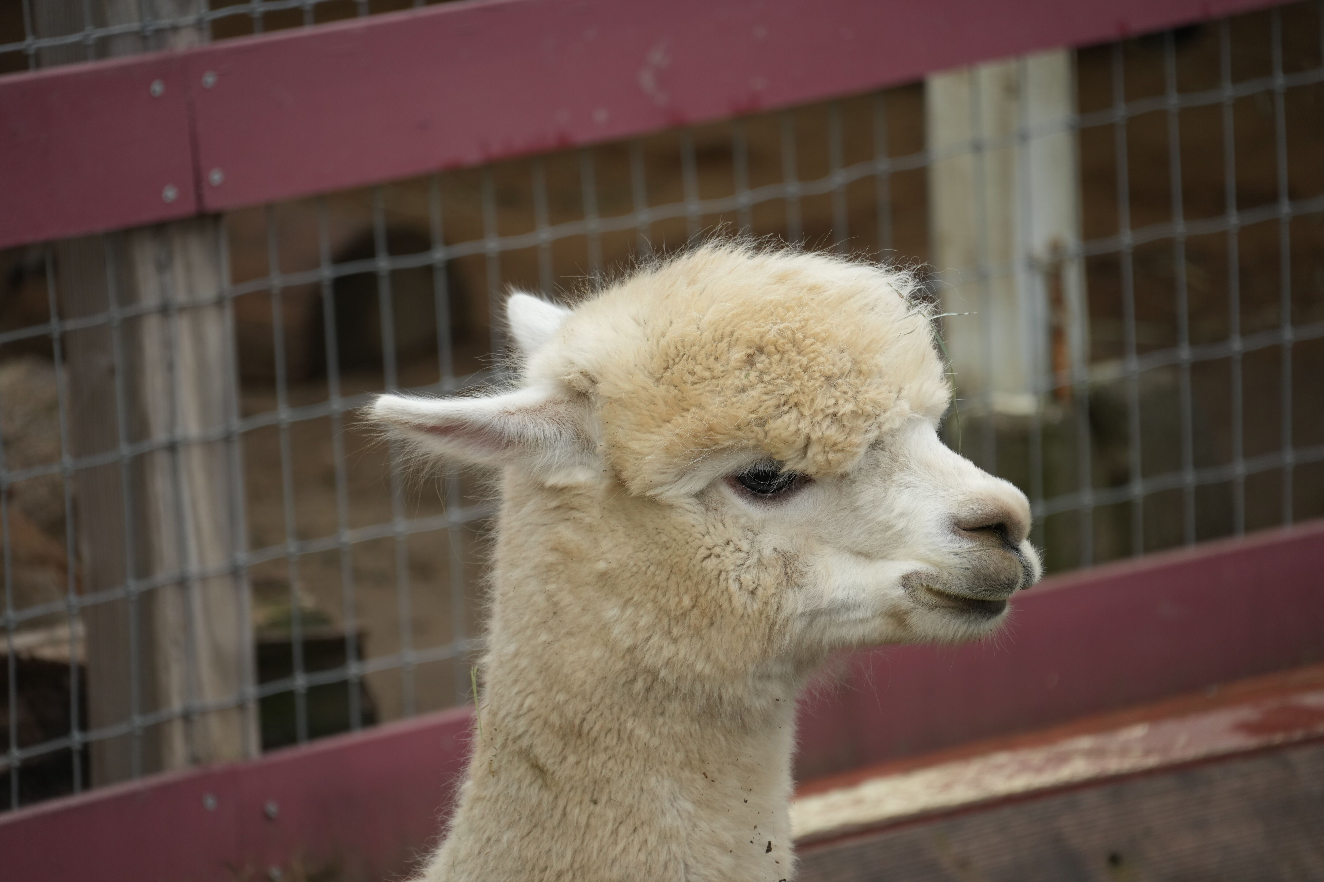 McClellan Ranch Preserve