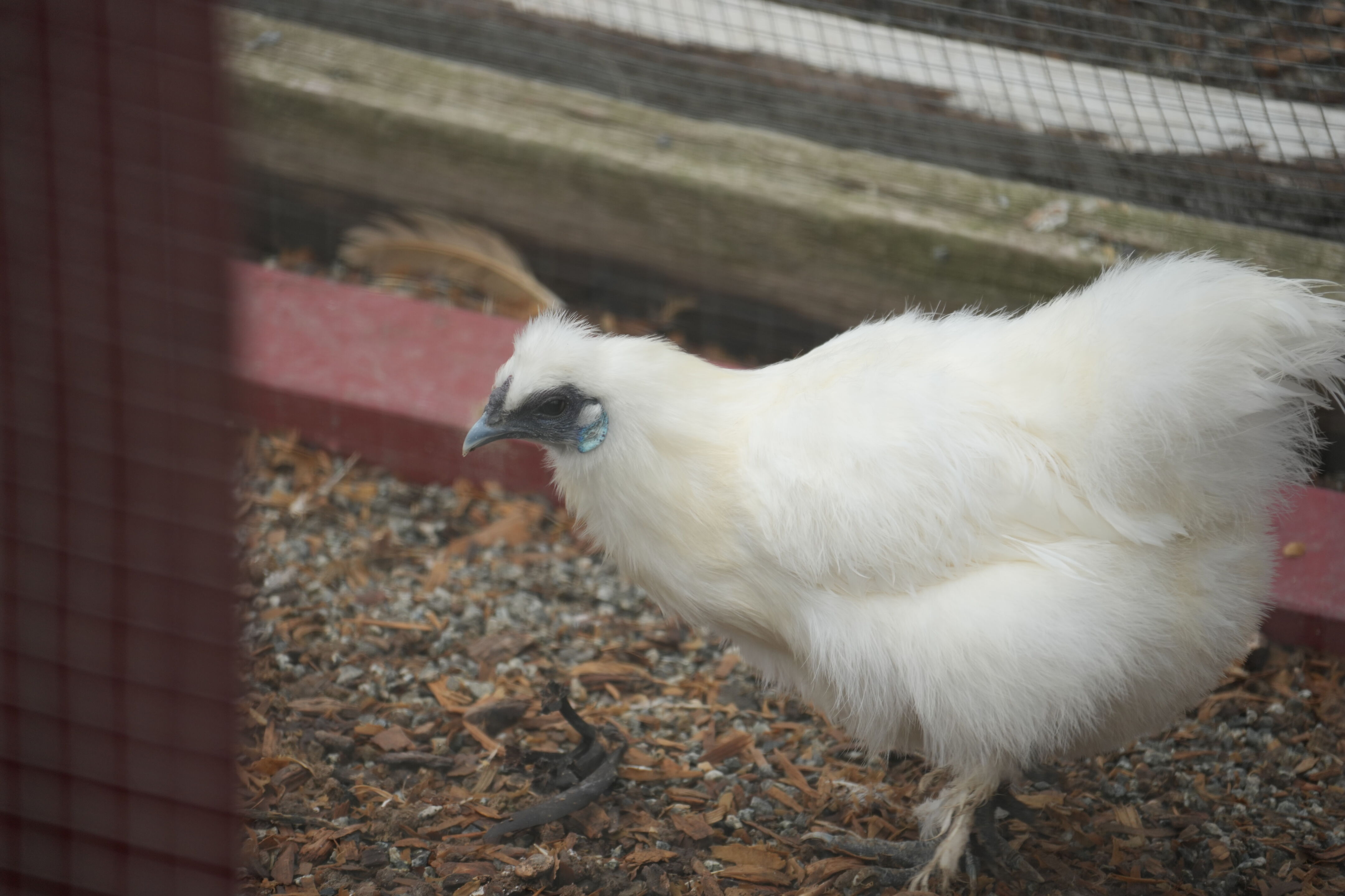 McClellan Ranch Preserve