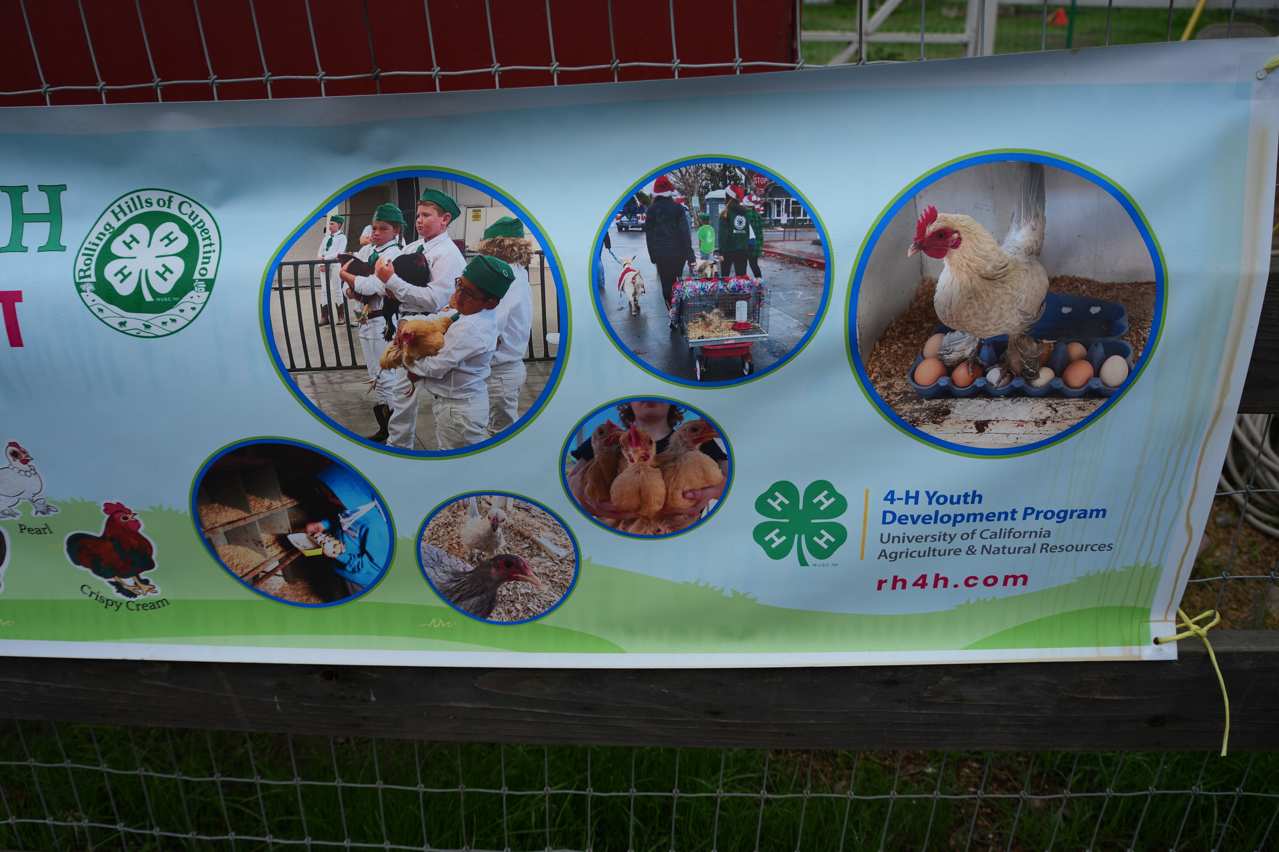 McClellan Ranch Preserve