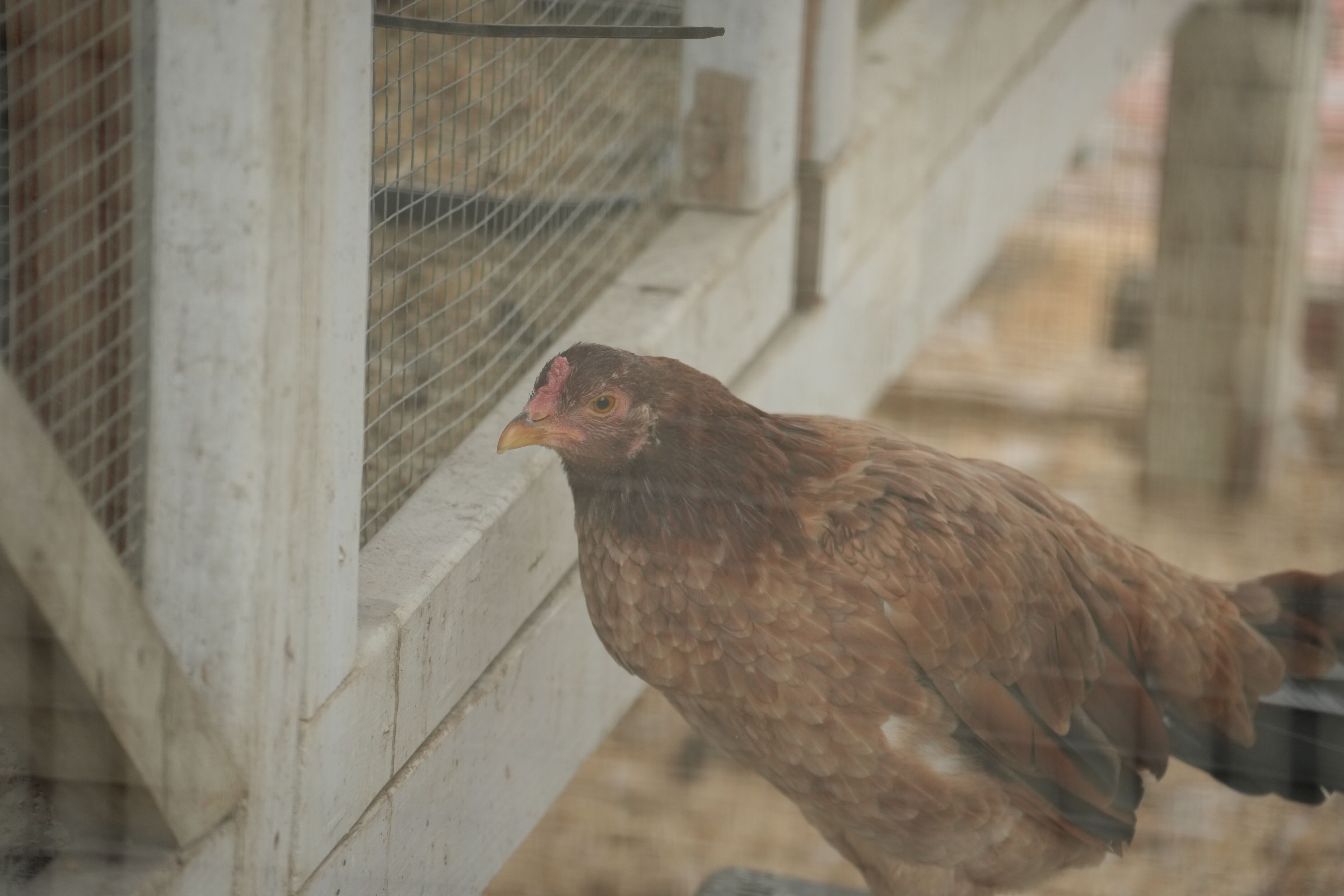 McClellan Ranch Preserve