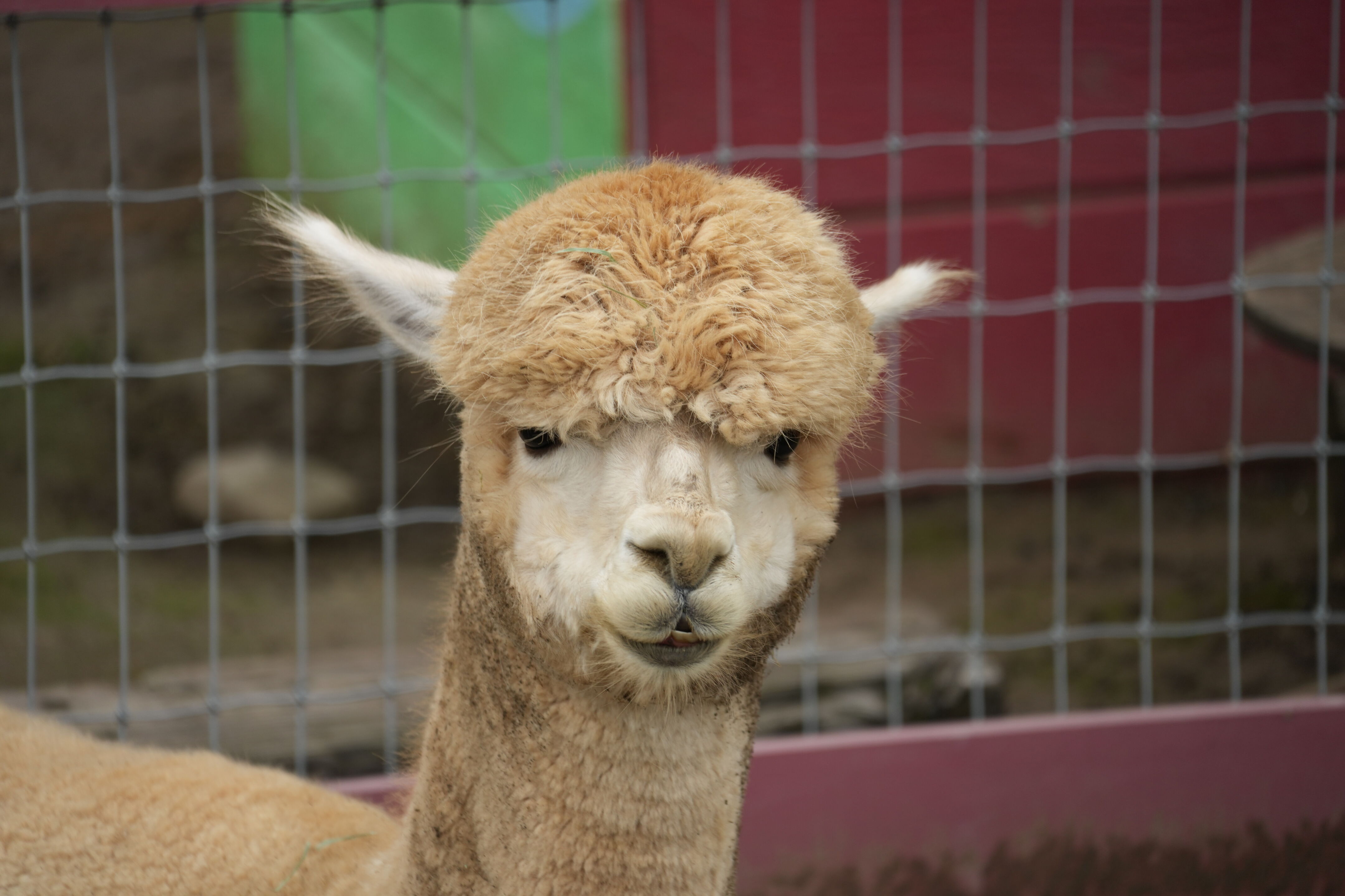 McClellan Ranch Preserve