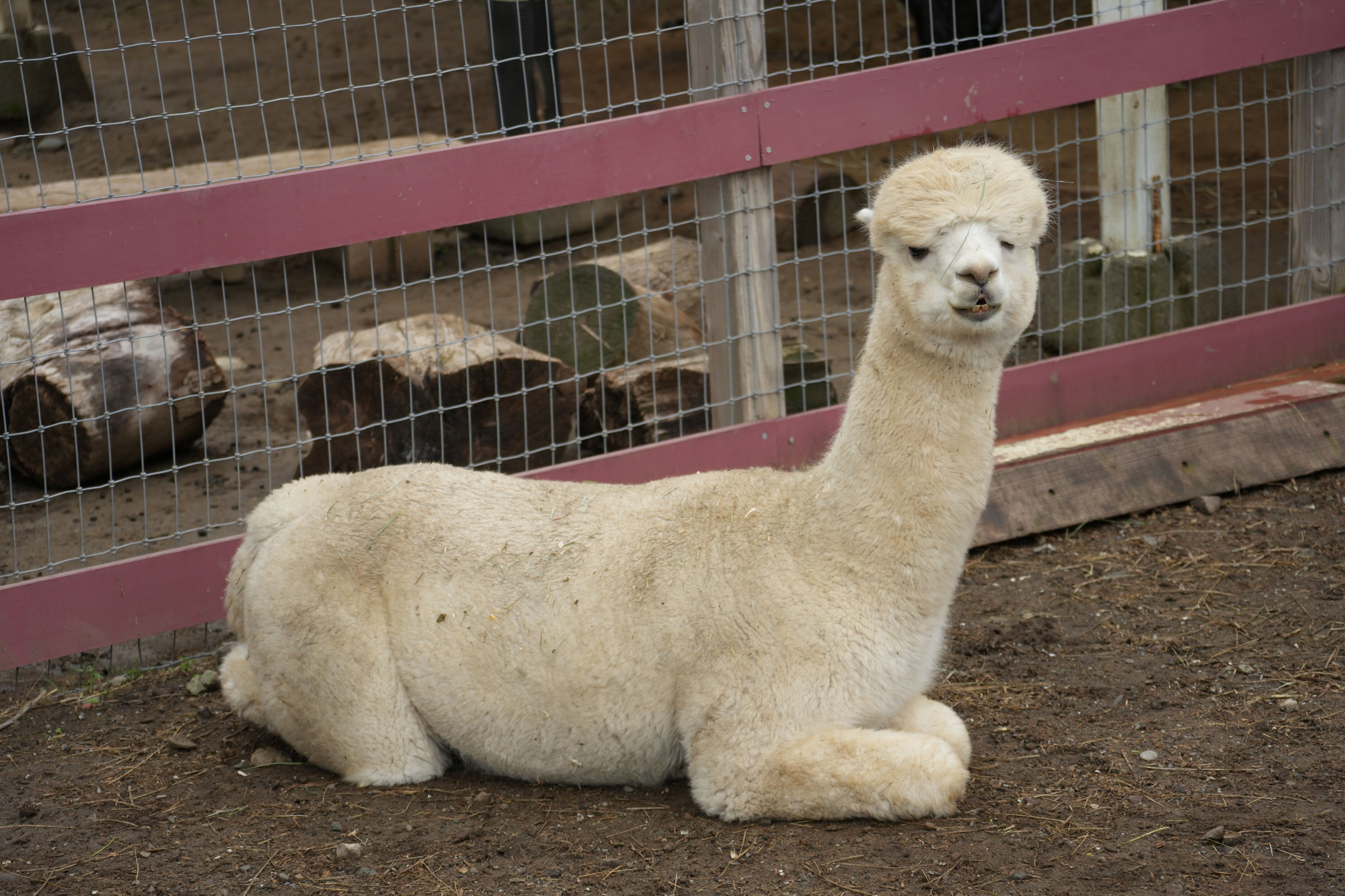 McClellan Ranch Preserve