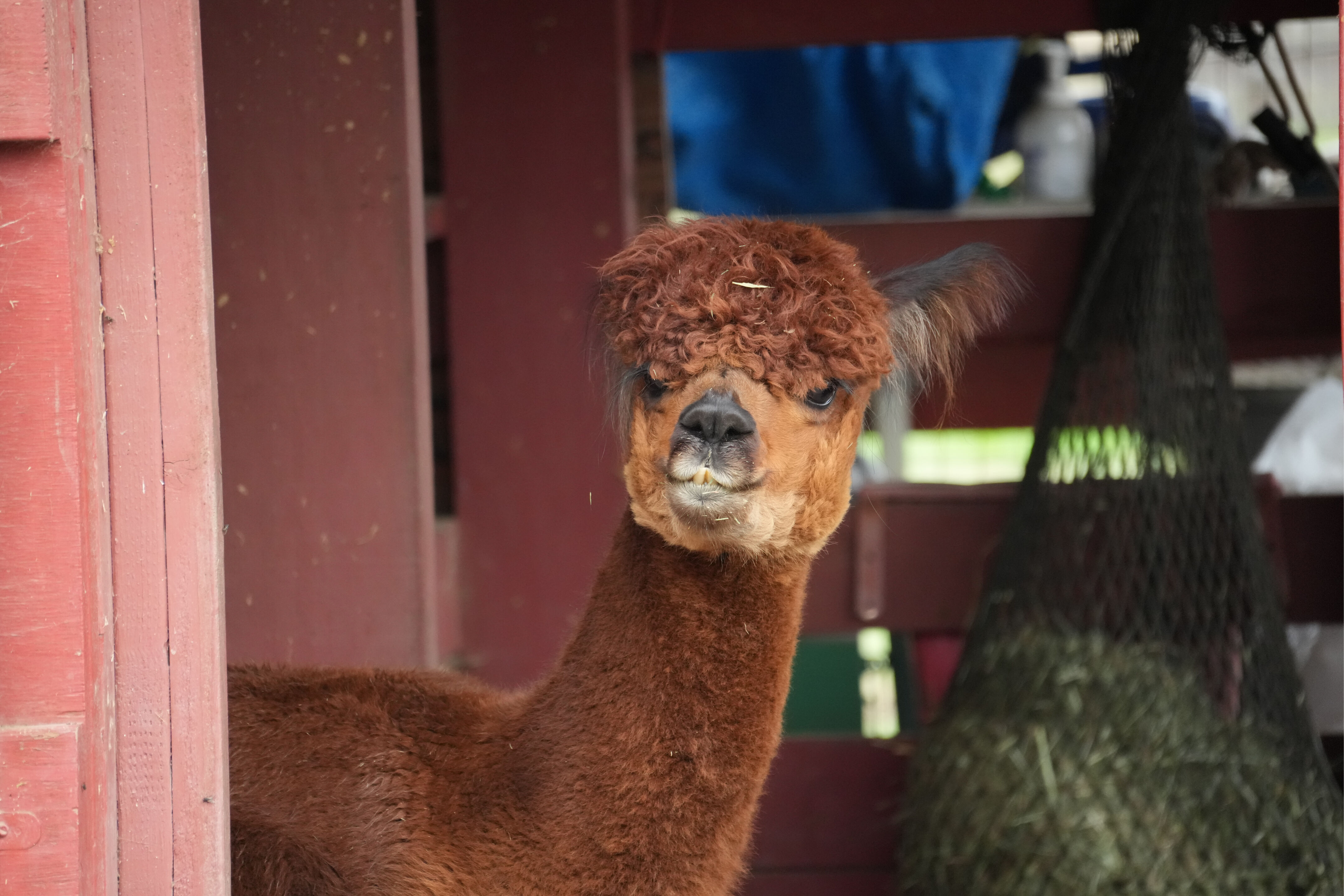 McClellan Ranch Preserve