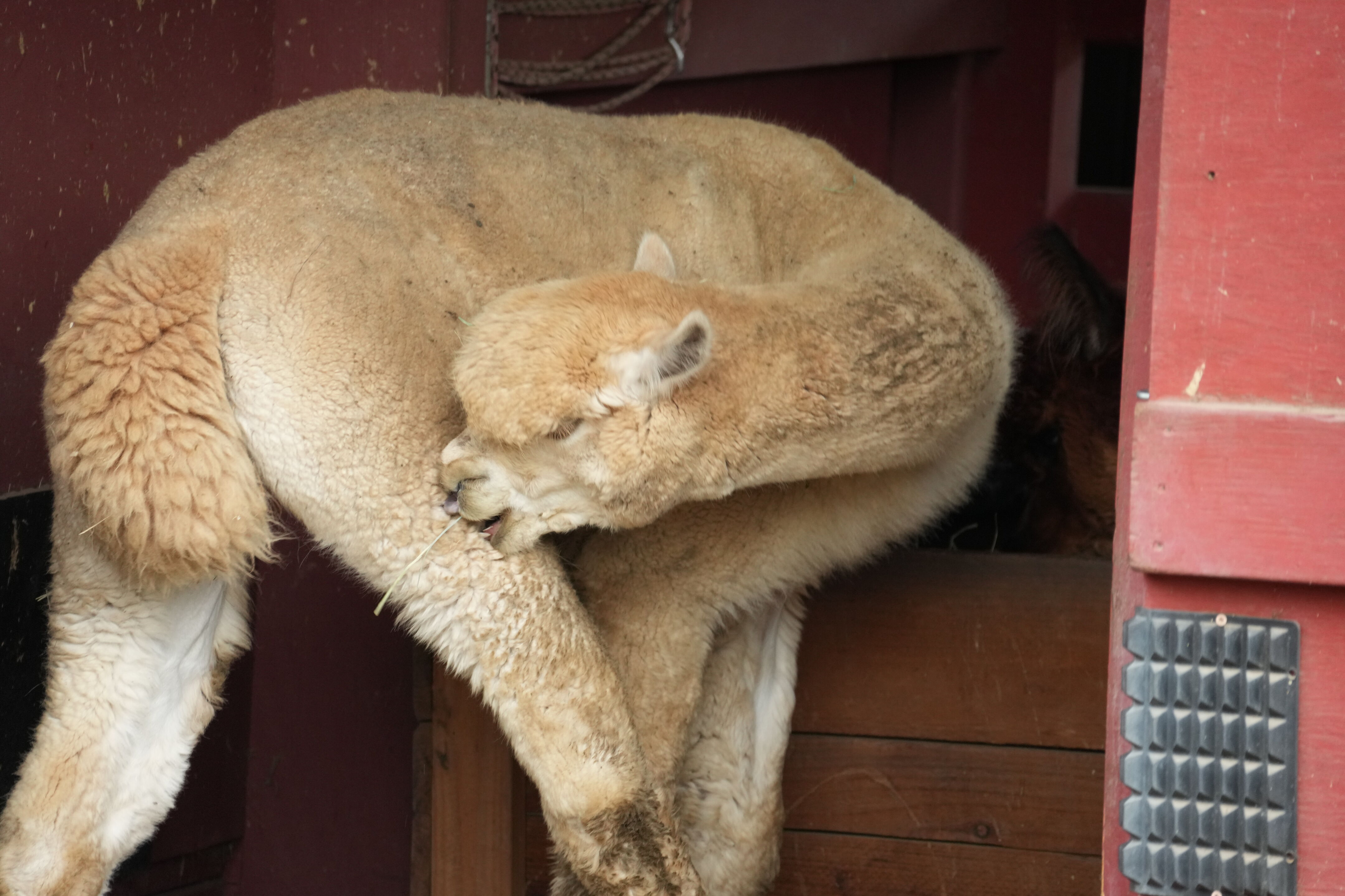 McClellan Ranch Preserve