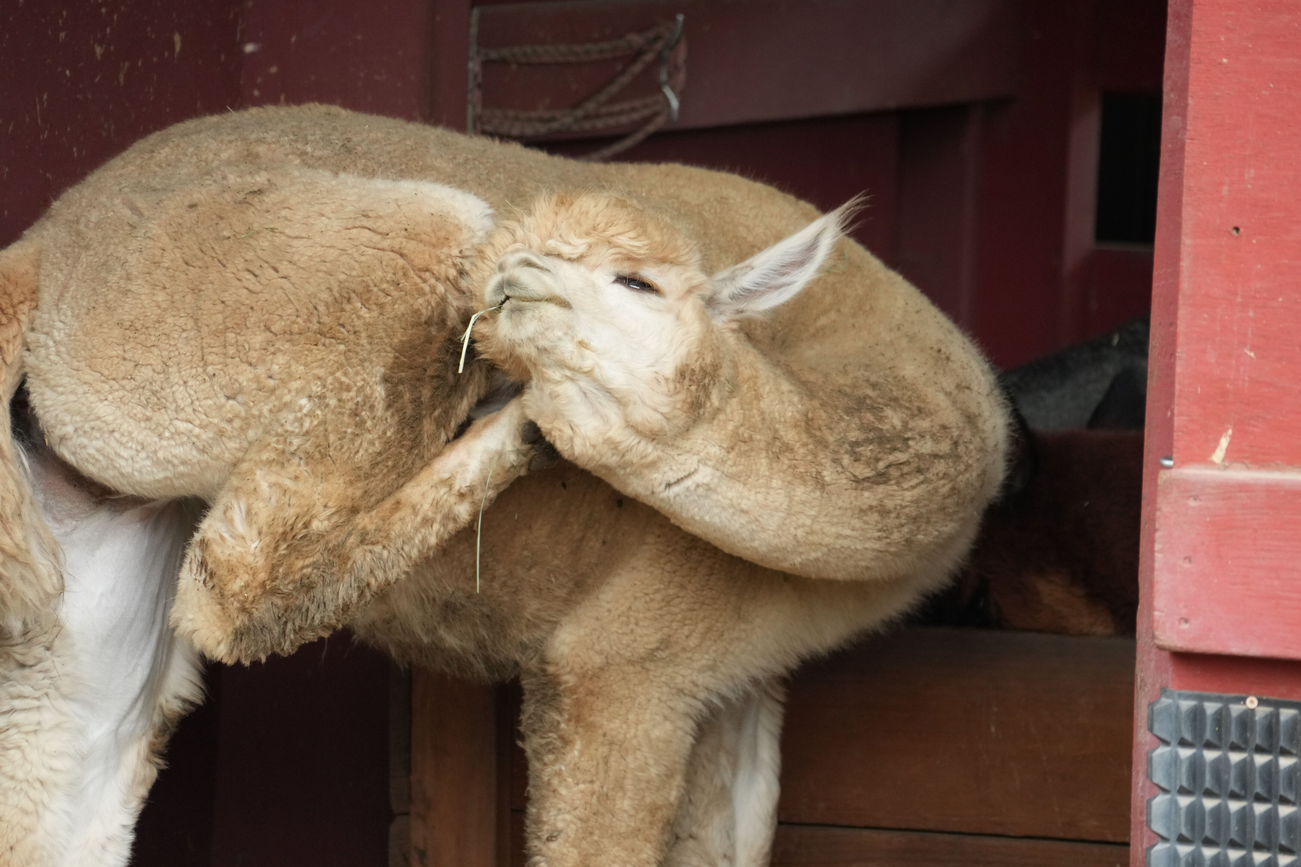 McClellan Ranch Preserve