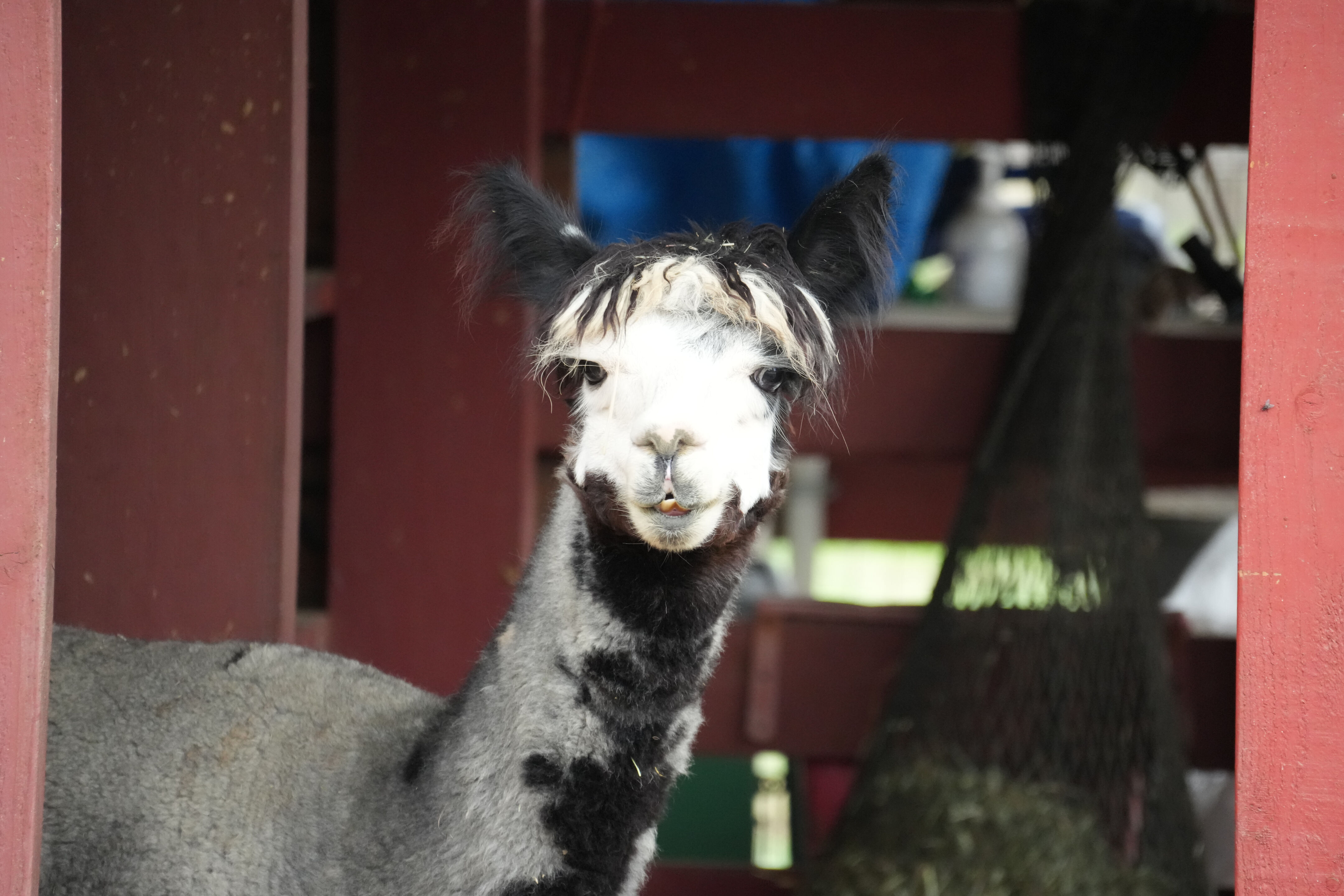 McClellan Ranch Preserve