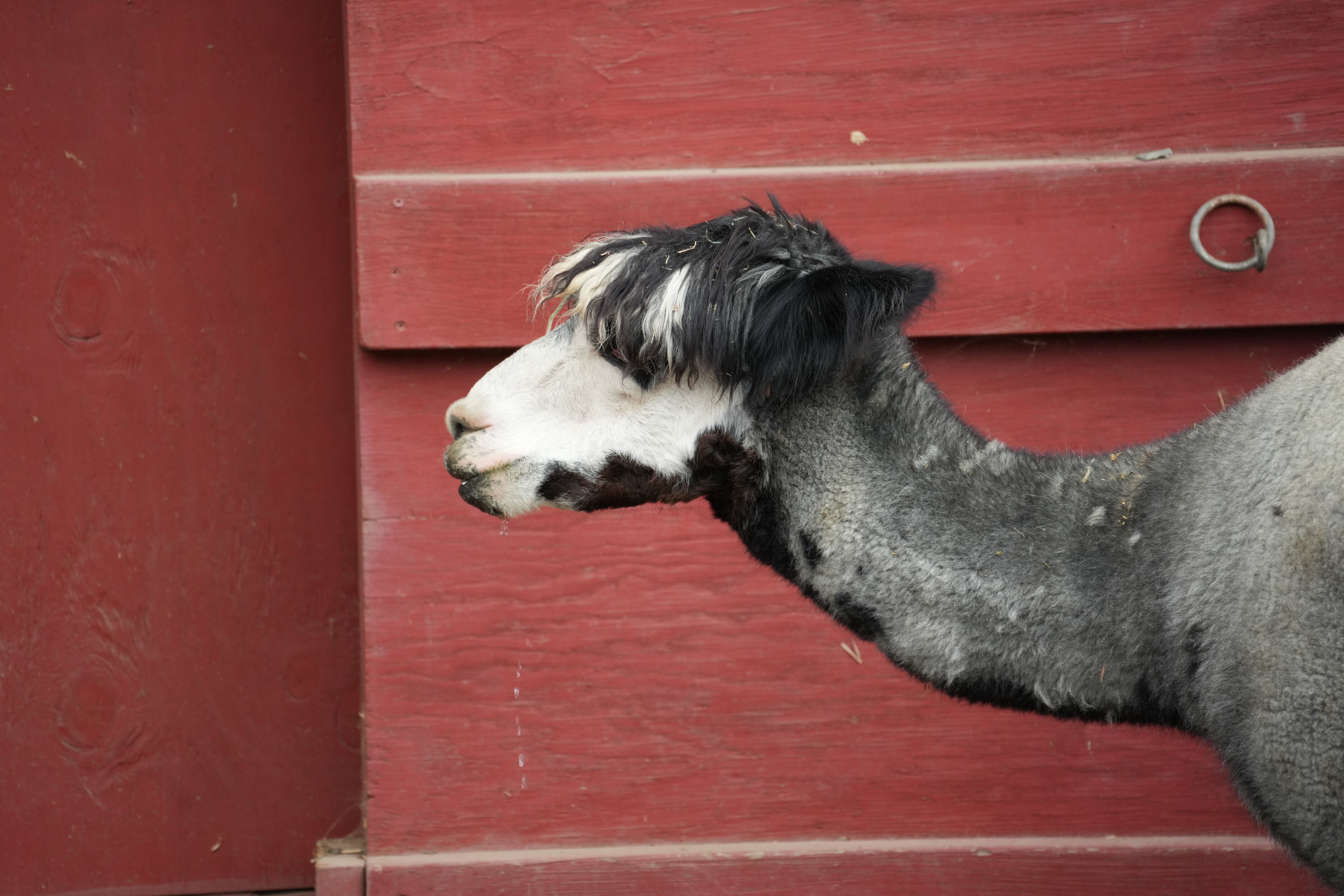McClellan Ranch Preserve