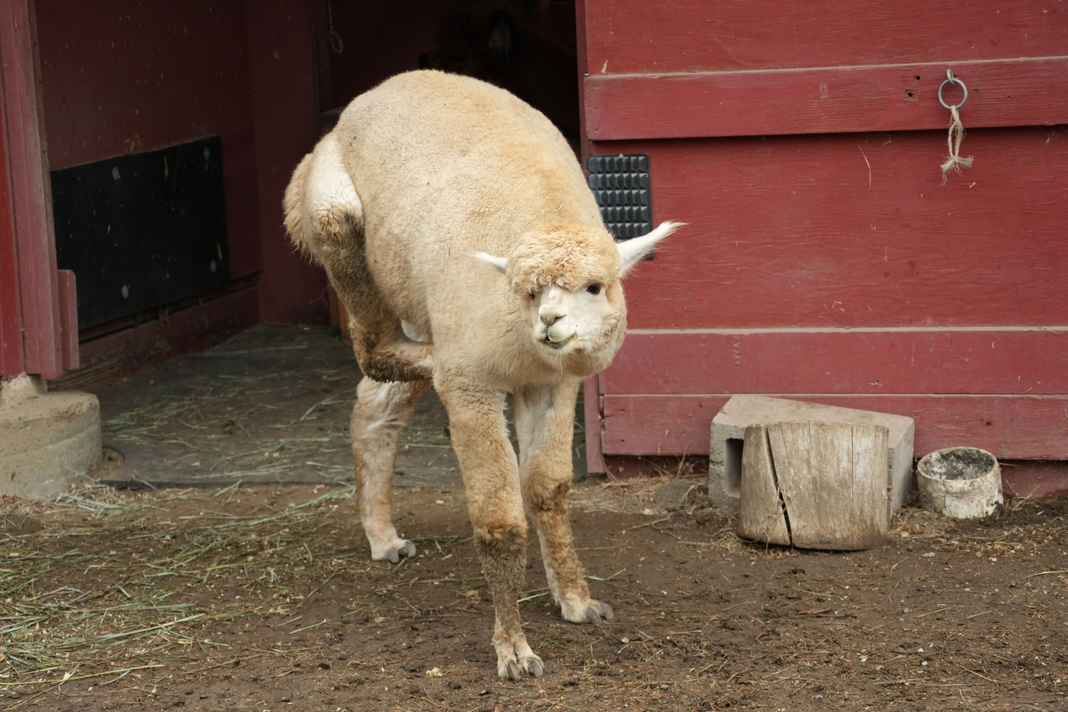 McClellan Ranch Preserve