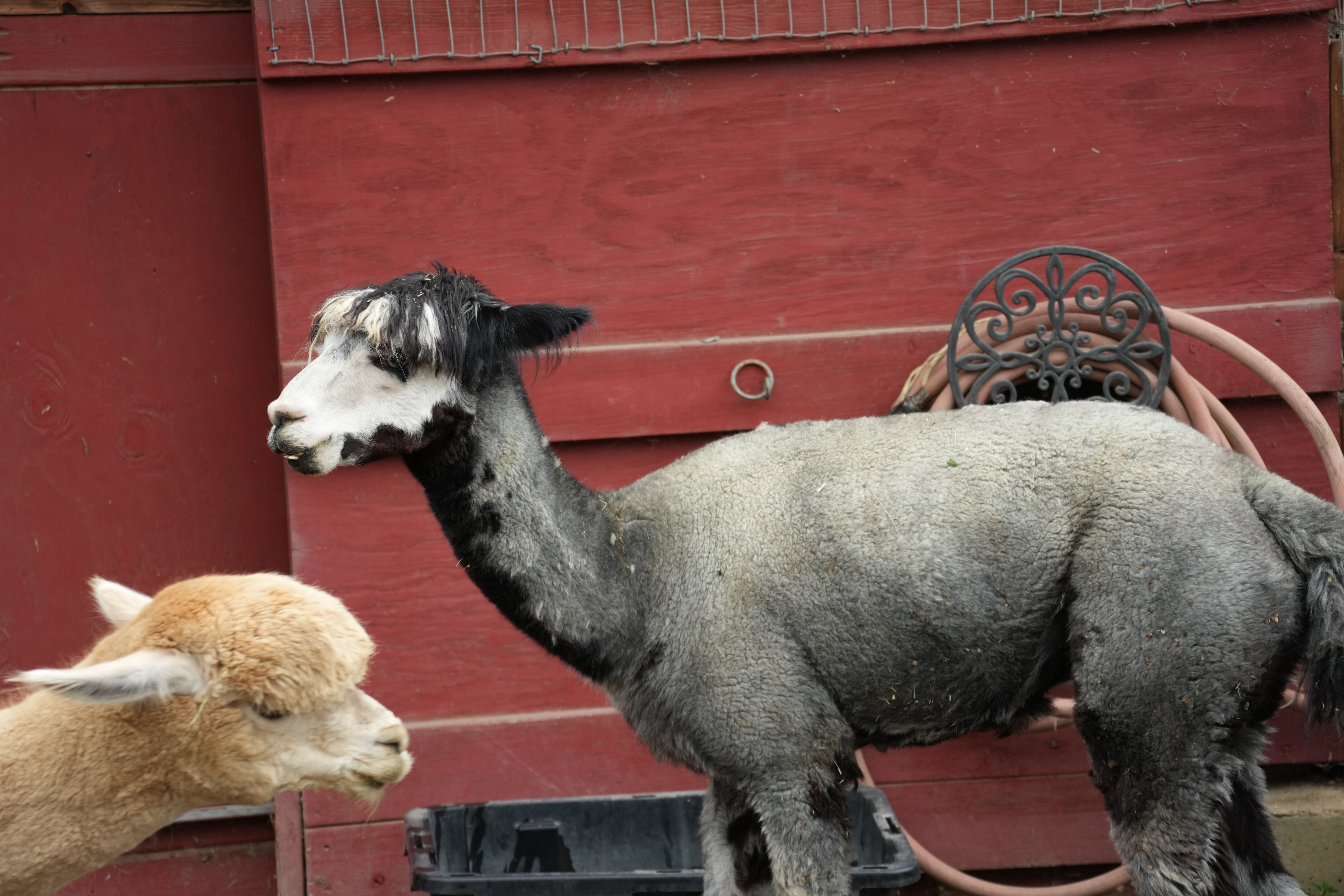 McClellan Ranch Preserve