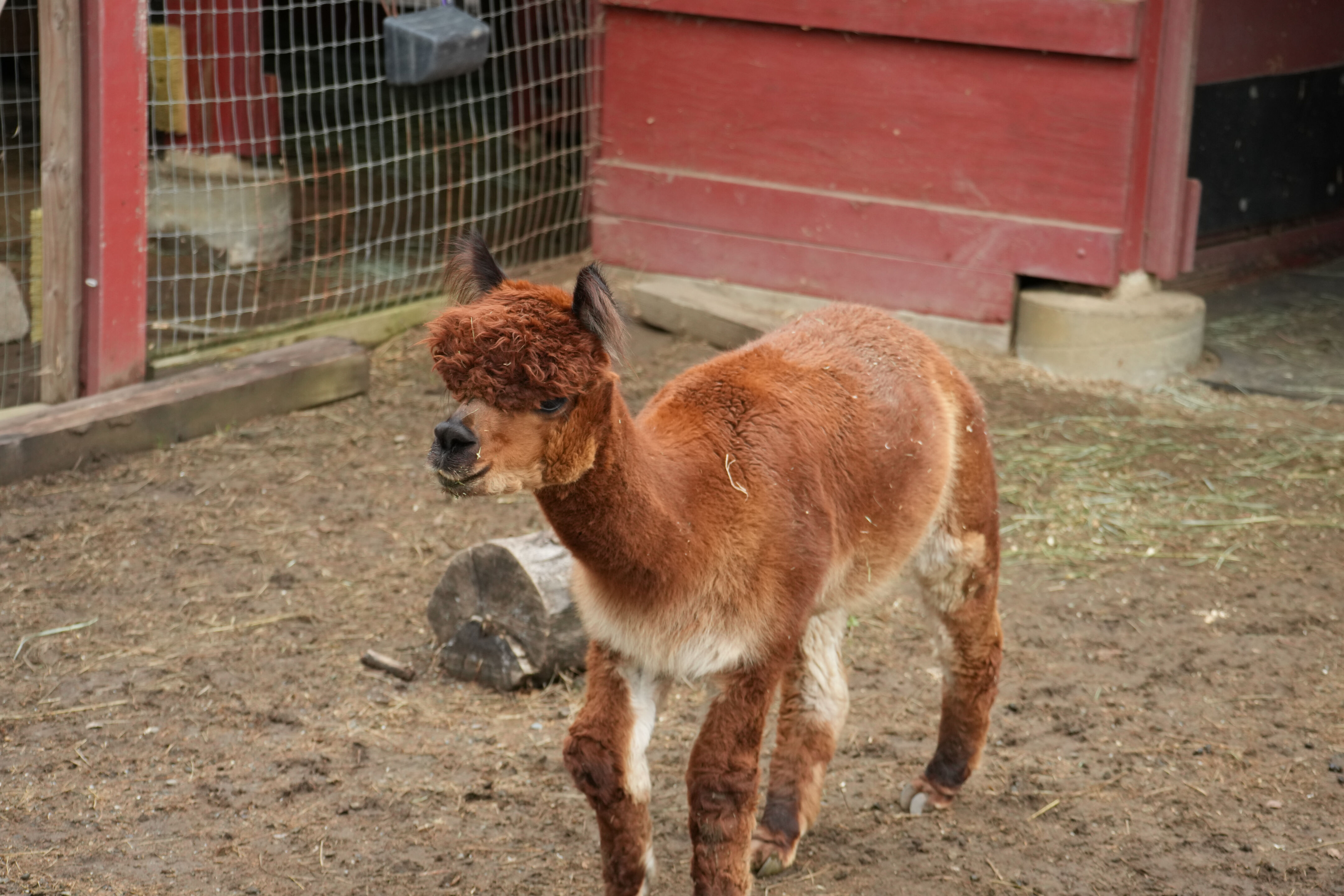 McClellan Ranch Preserve