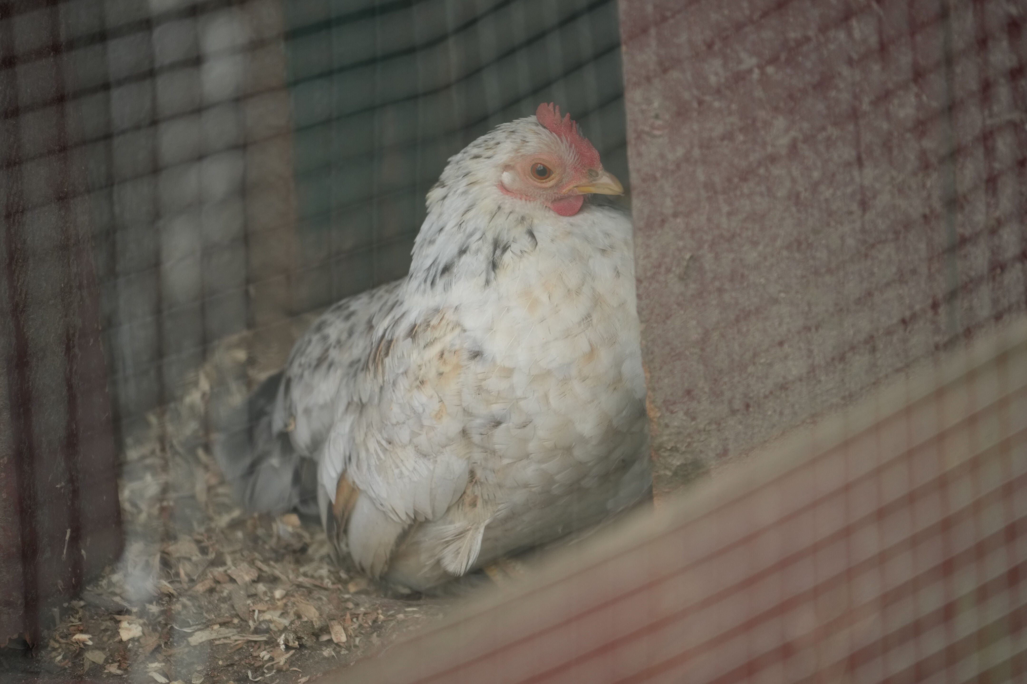 McClellan Ranch Preserve