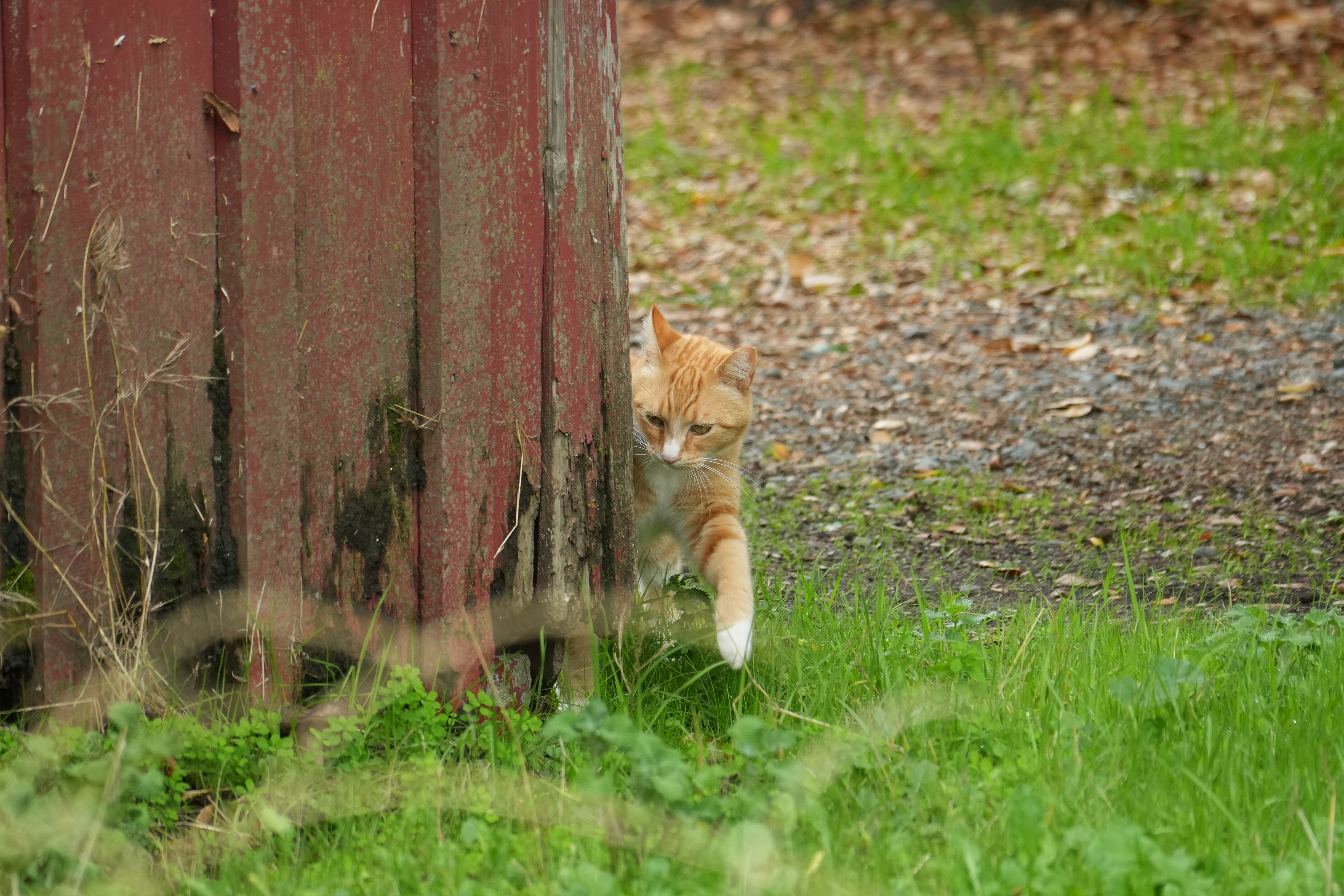 McClellan Ranch Preserve