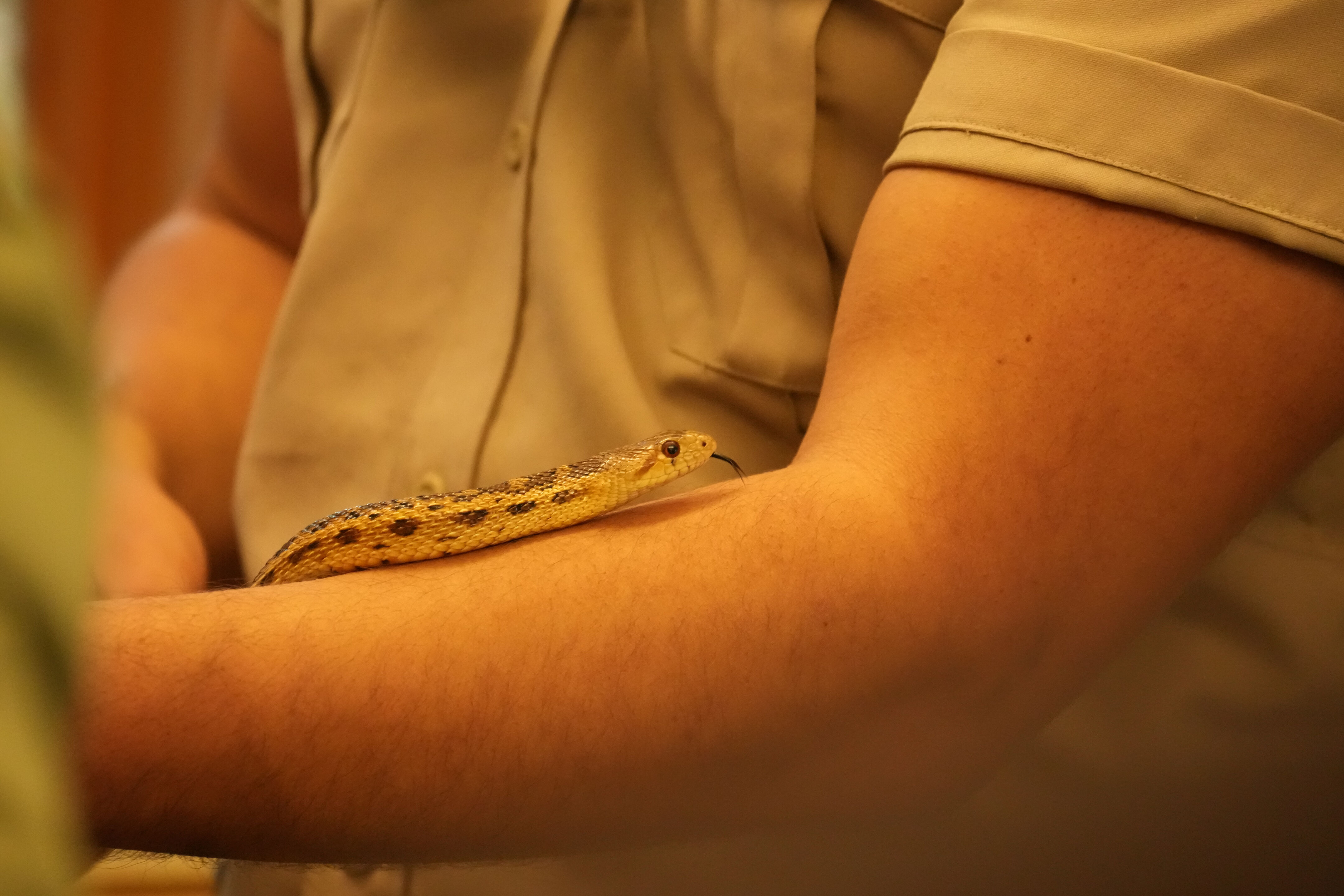 McClellan Ranch Preserve