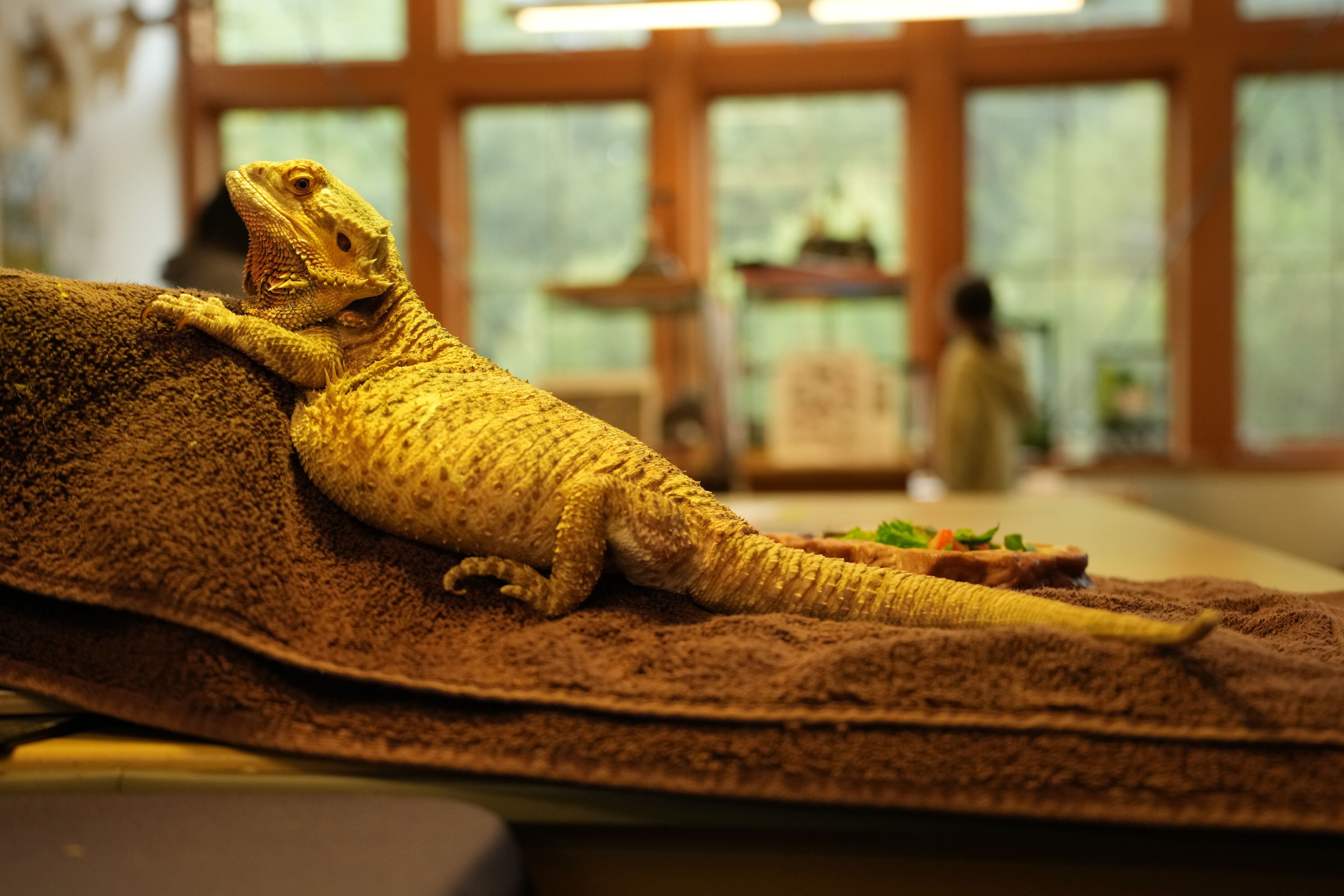 McClellan Ranch Preserve