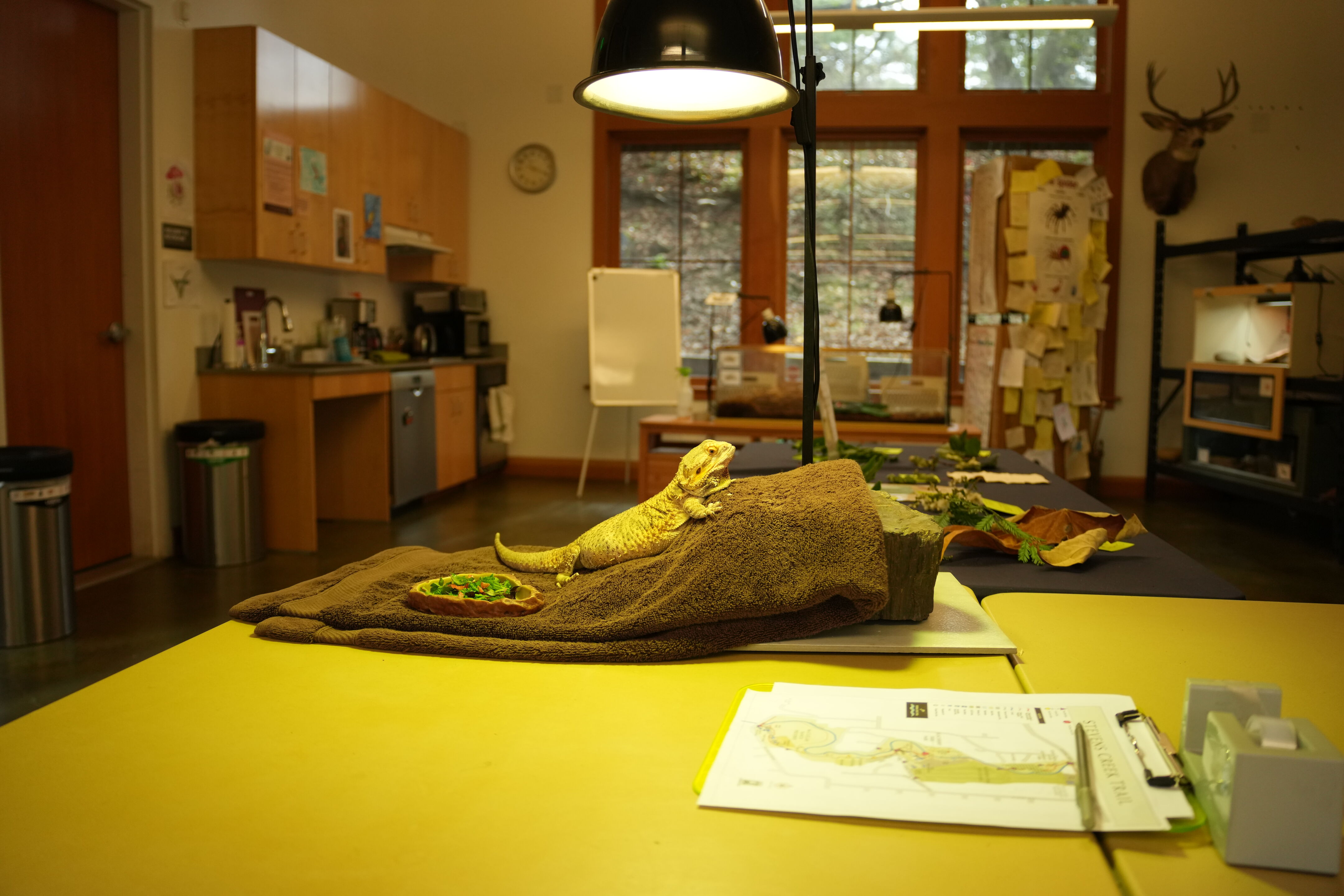 McClellan Ranch Preserve