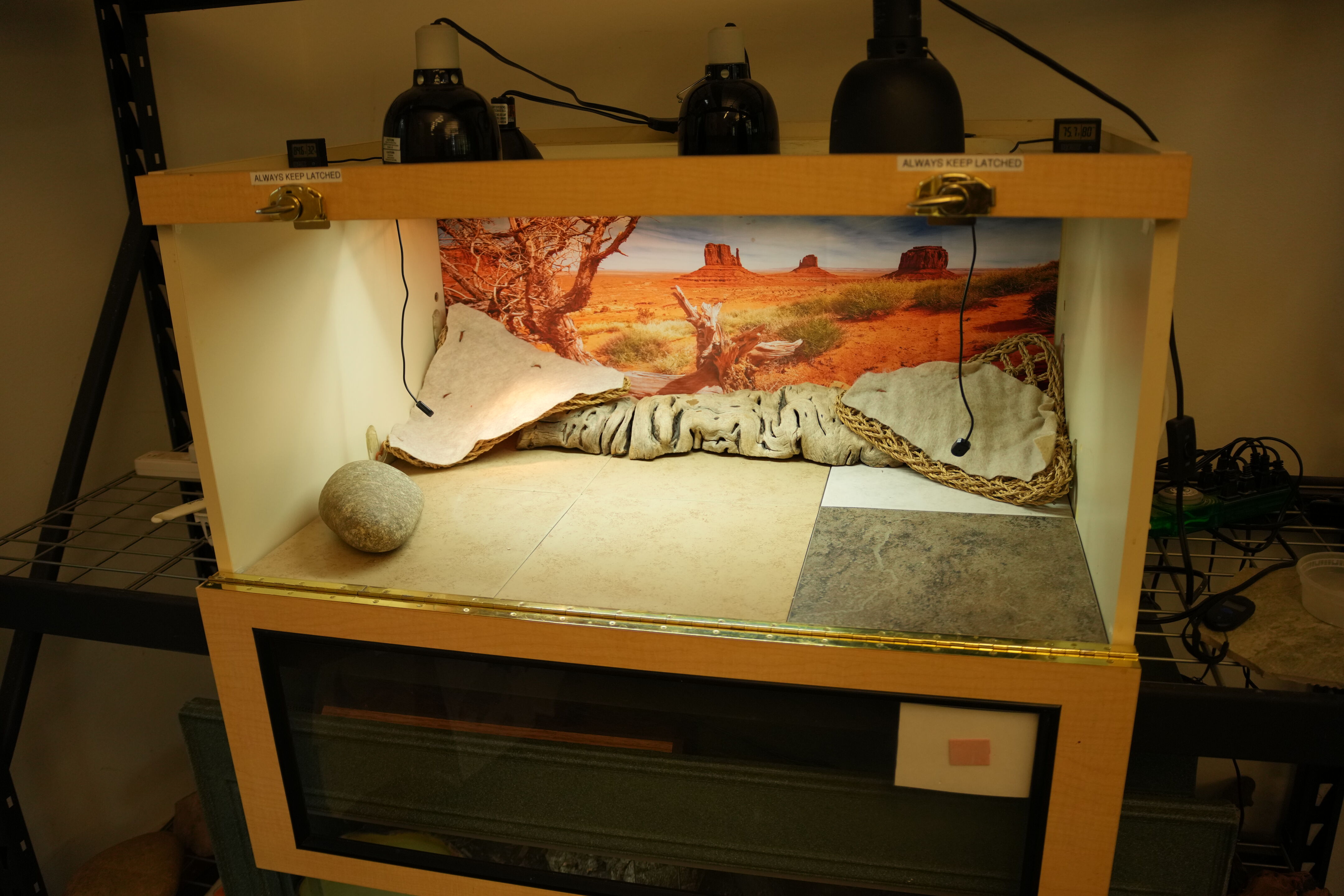 McClellan Ranch Preserve