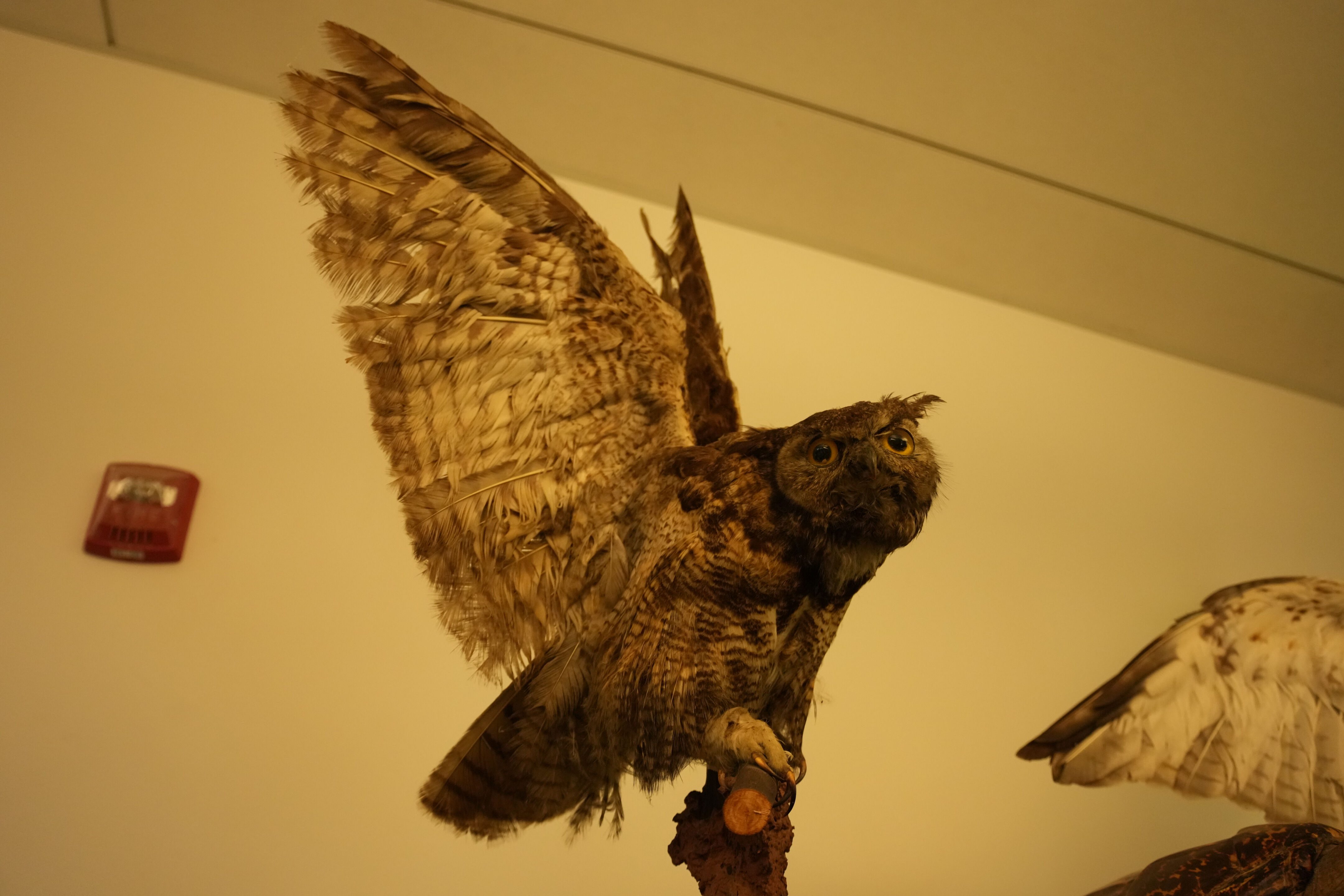 McClellan Ranch Preserve