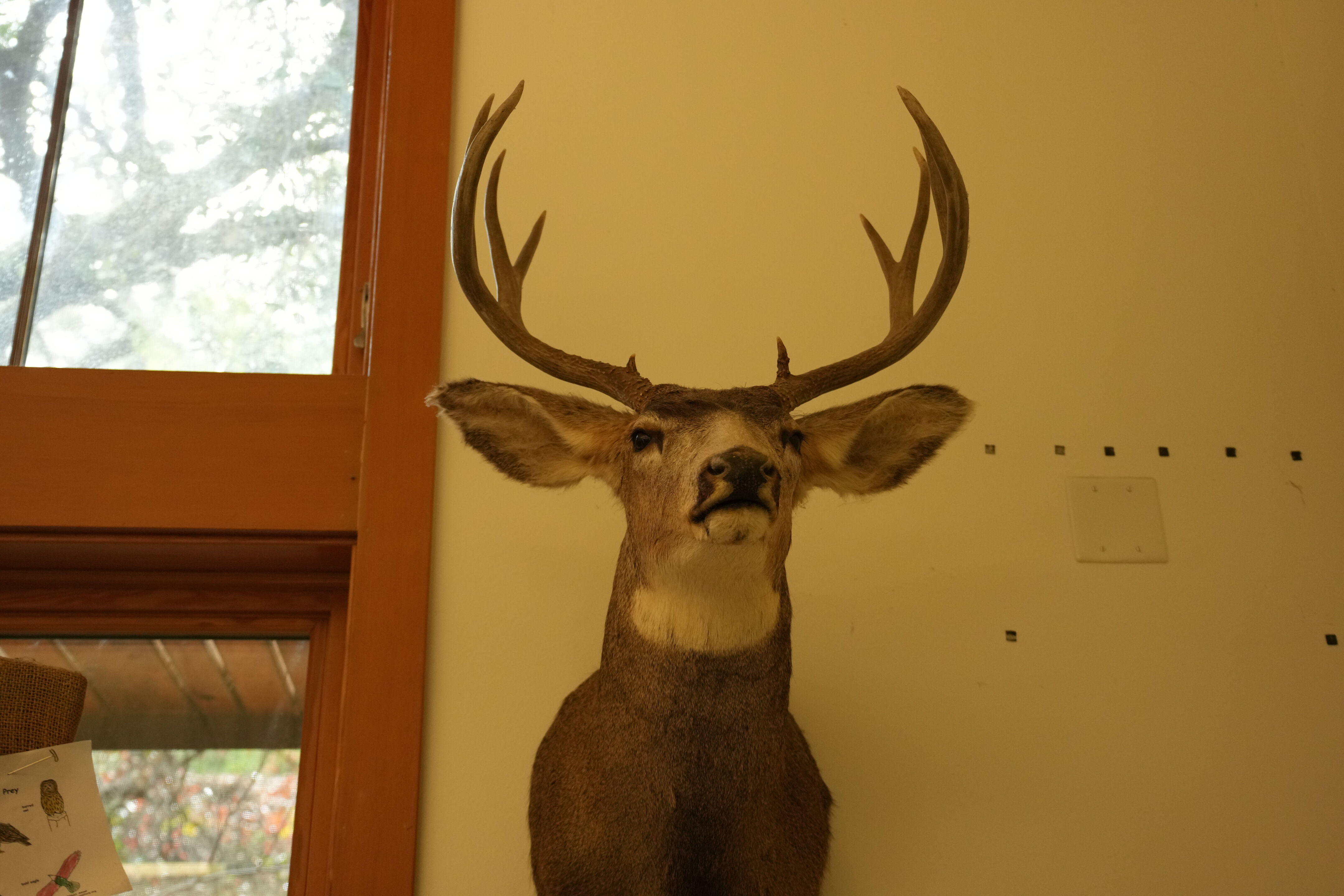 McClellan Ranch Preserve