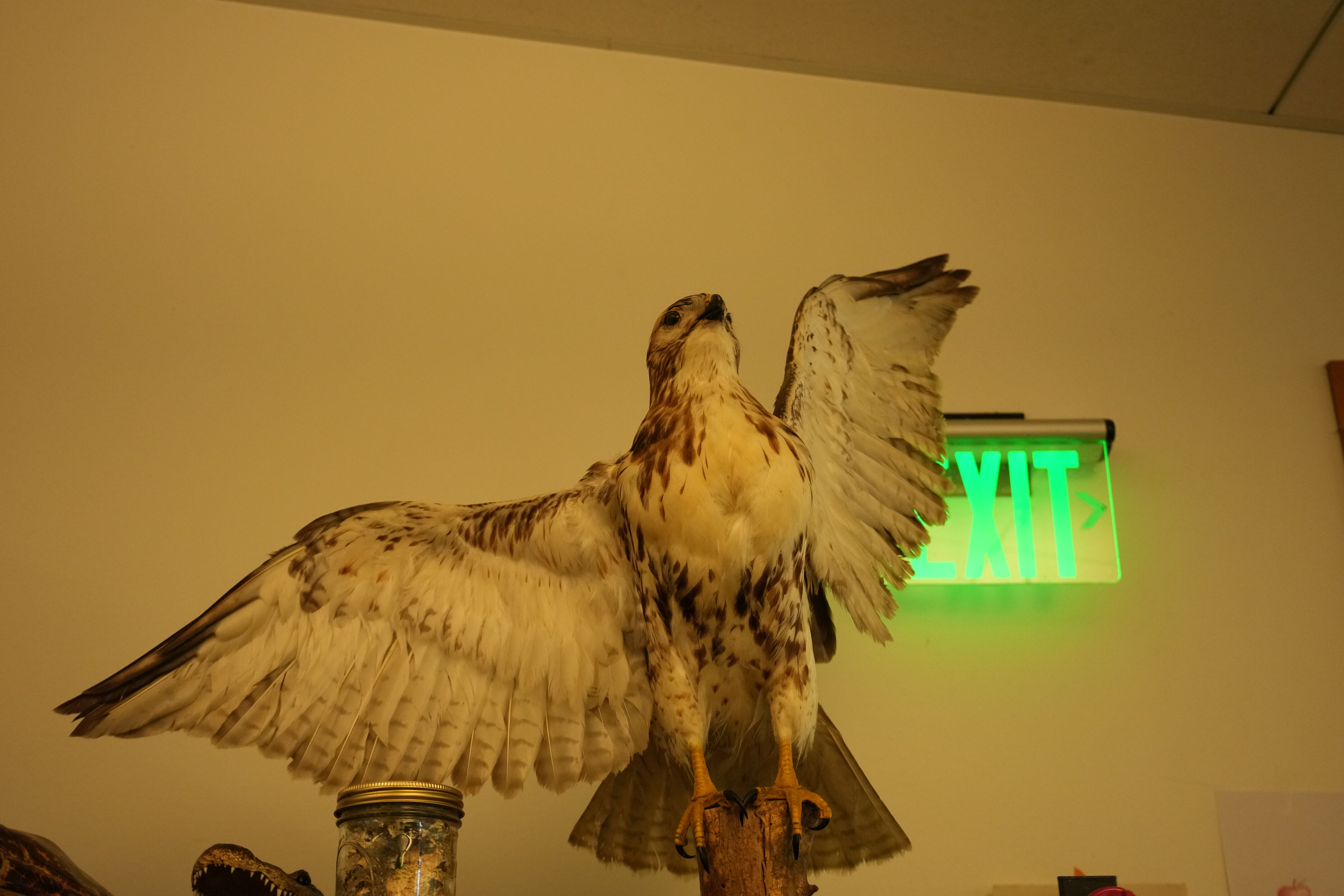 McClellan Ranch Preserve