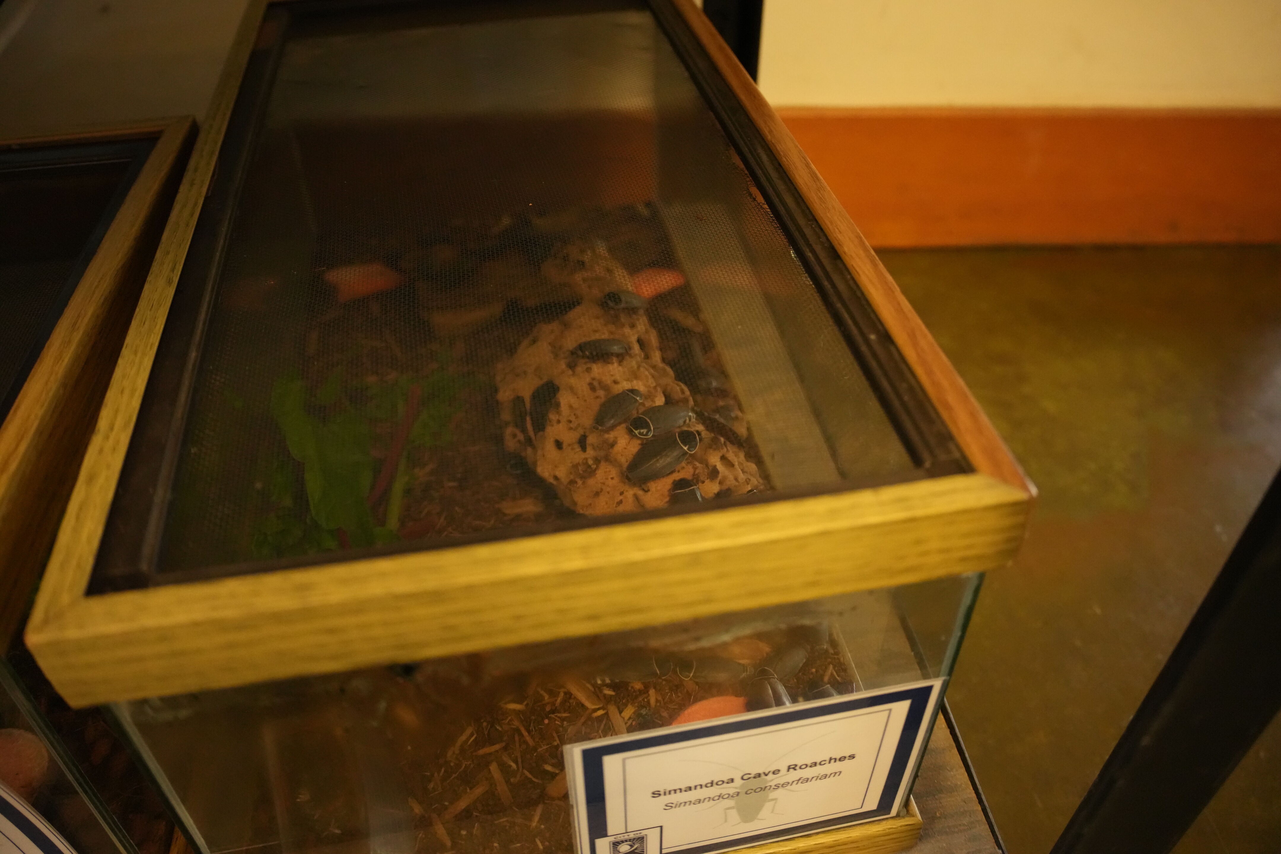 McClellan Ranch Preserve