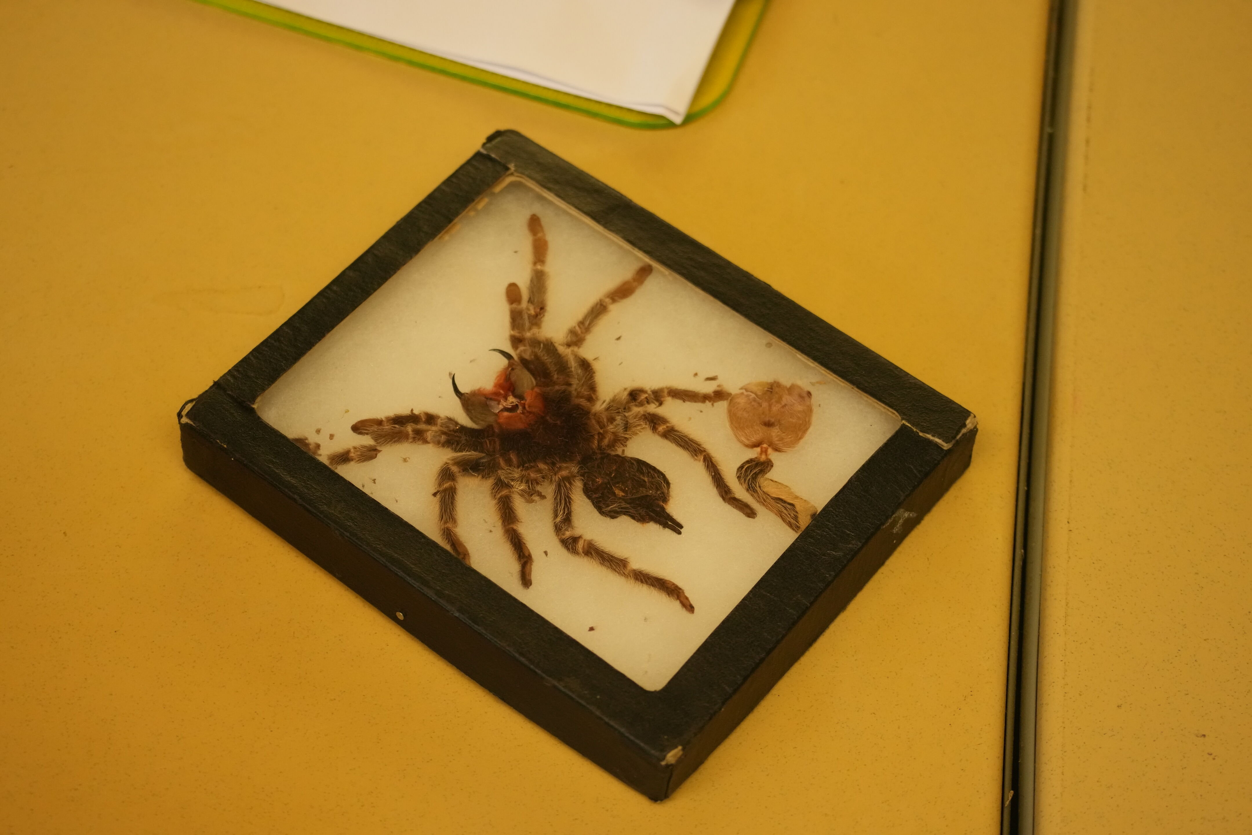 McClellan Ranch Preserve